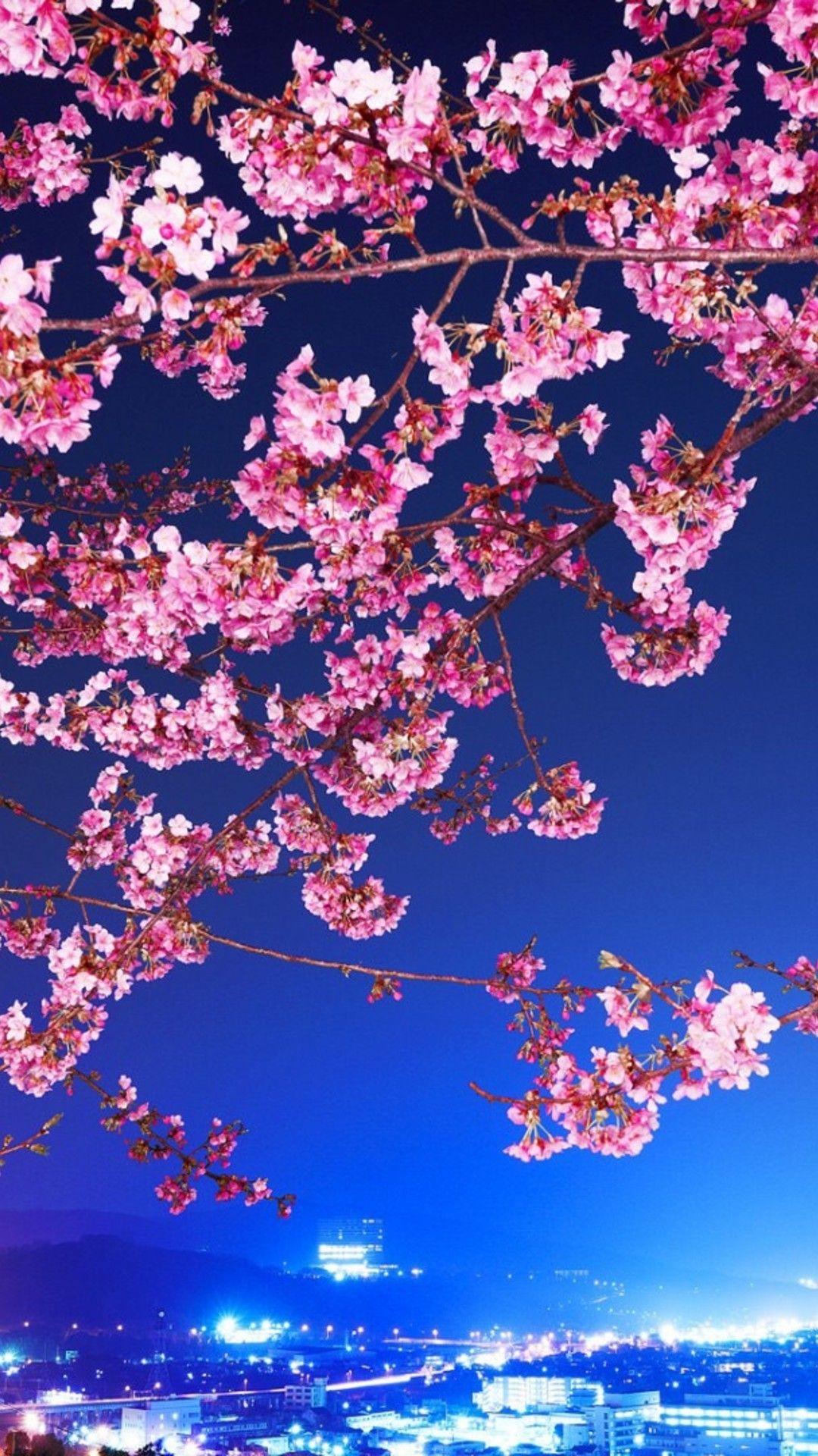 1080x1920 Cherry Blossom Wallpaper