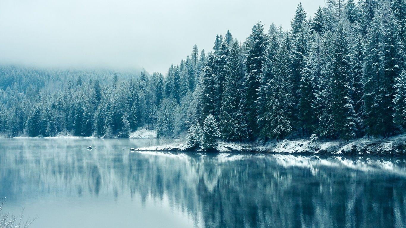 1366x768 x768 Wallpaper HD Wallpaper for Android Mobile NsGj