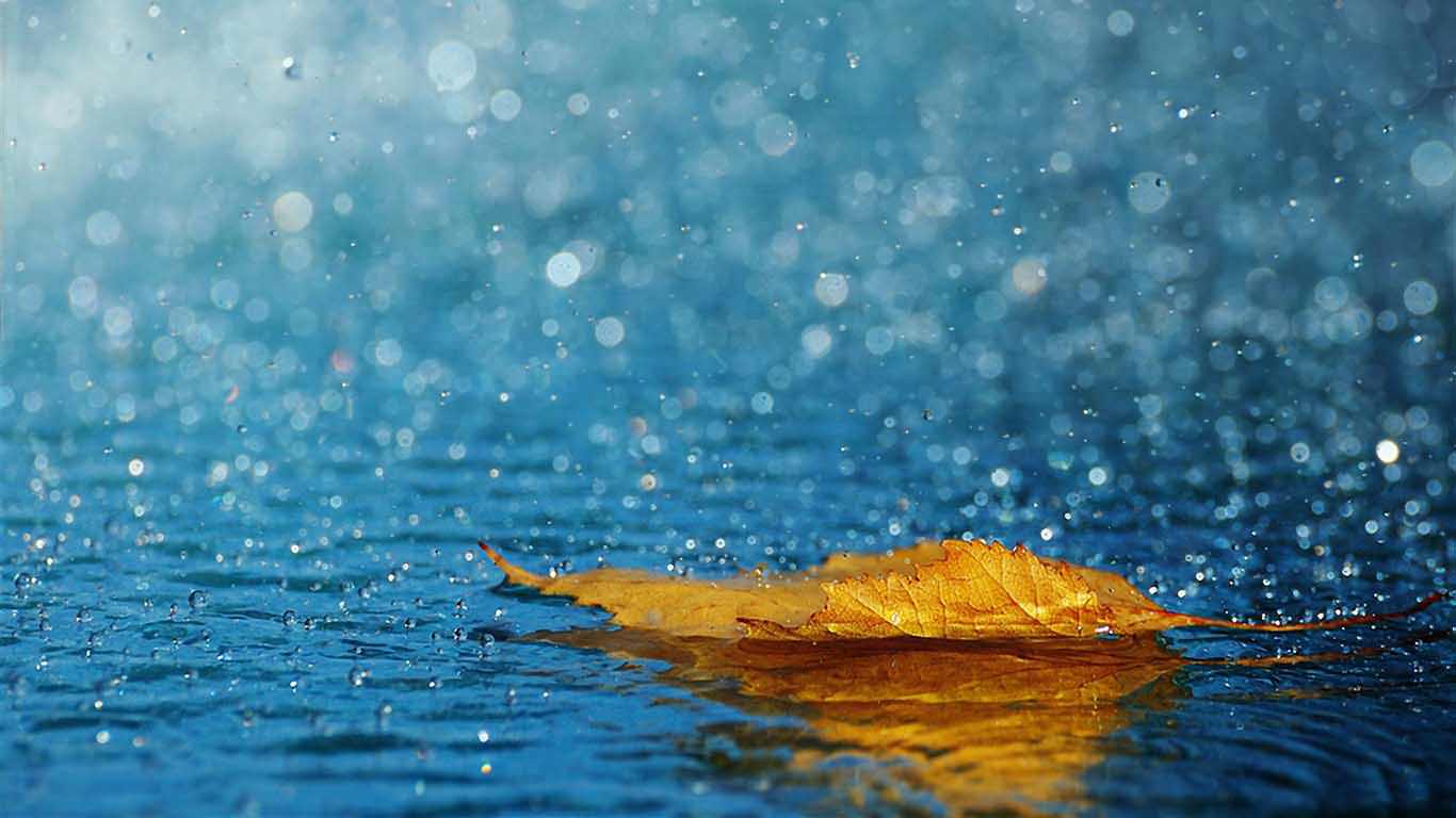 1366x768 Summer HD Wallpaper 1366x768 PC Wallpaper