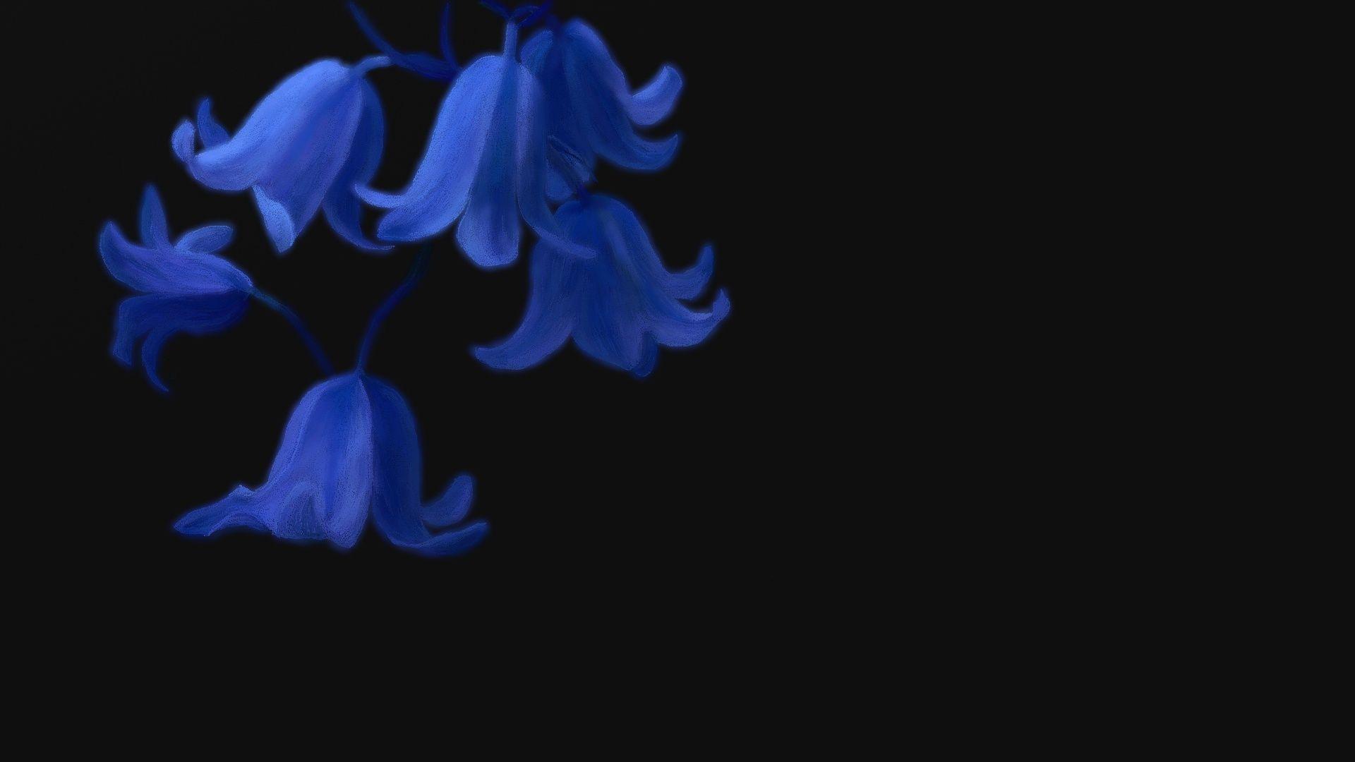 1920x1080 Black Flower Desktop Background