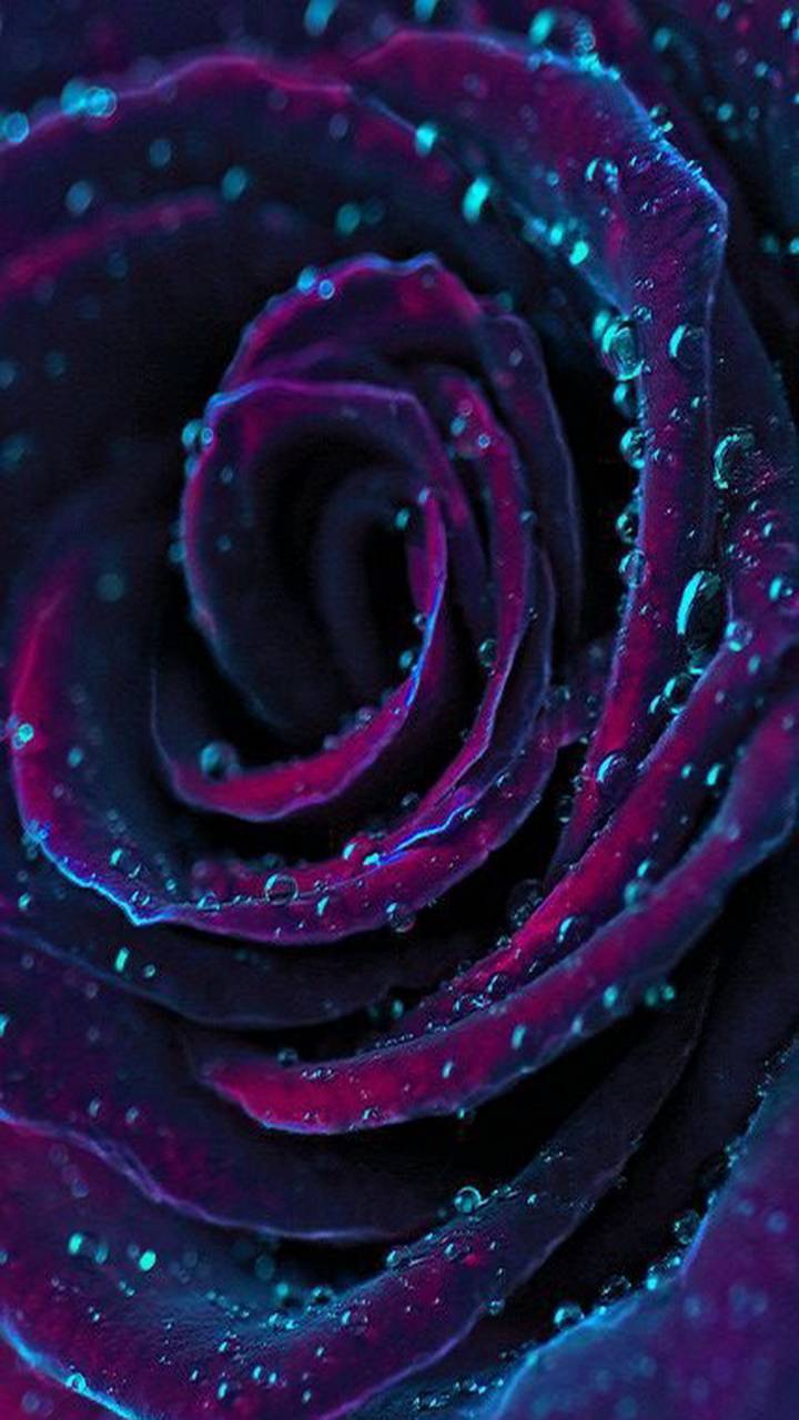 720x1280 Purple Wallpaper