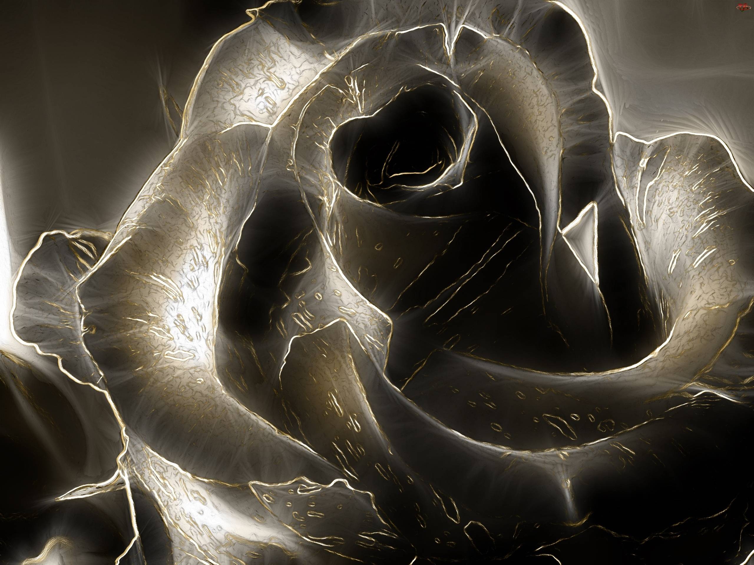 2560x1920 Free download Black Rose Wallpaper [2560x1920] for your Desktop, Mobile & Tablet. Explore Black Roses Wallpaper. Black And White Rose Wallpaper, Dark Red Roses Wallpaper, Pink and Black Rose Wallpaper