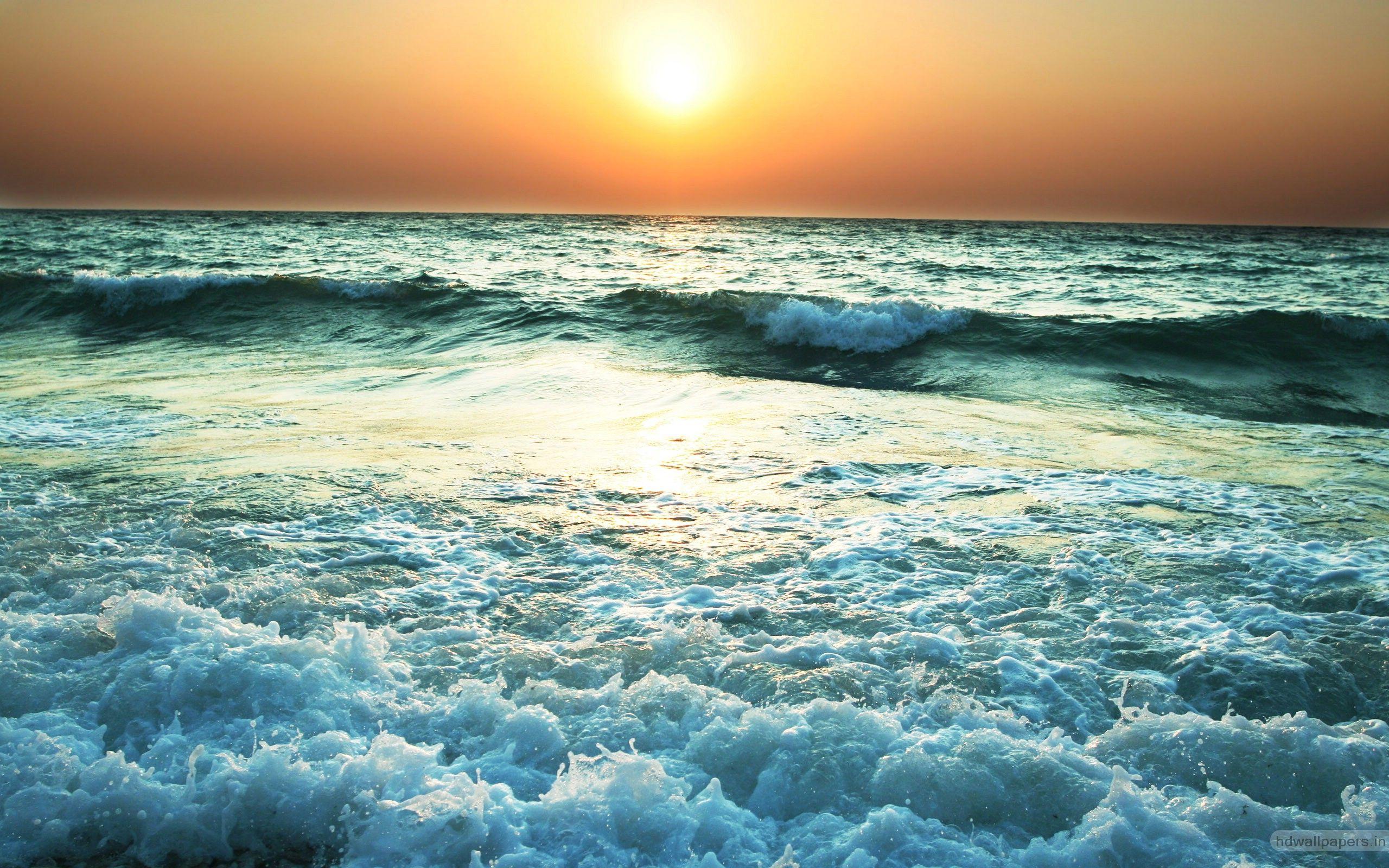 2560x1600 Free download Sunset Near Sea Wallpaper HD Wallpaper 2560x1600