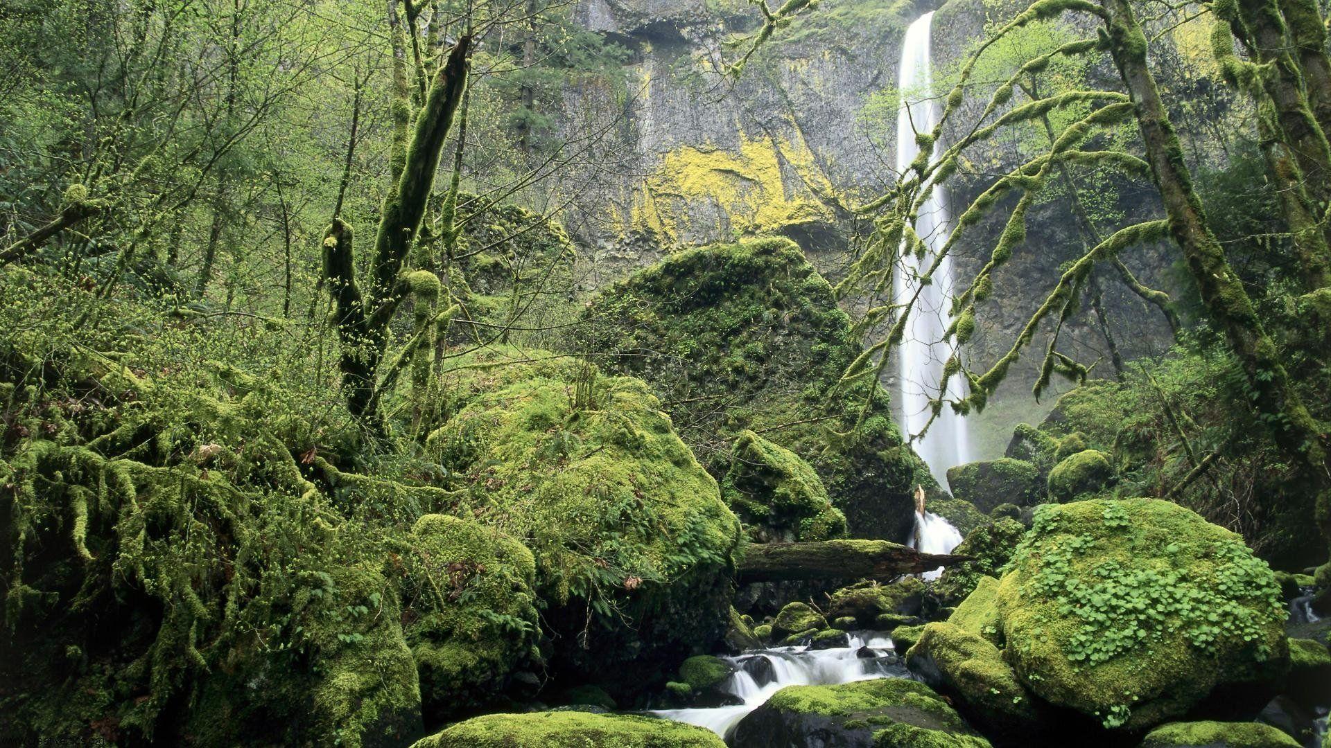 1920x1080 Oregon HD Wallpaper Background Wallpaper 1920x1080