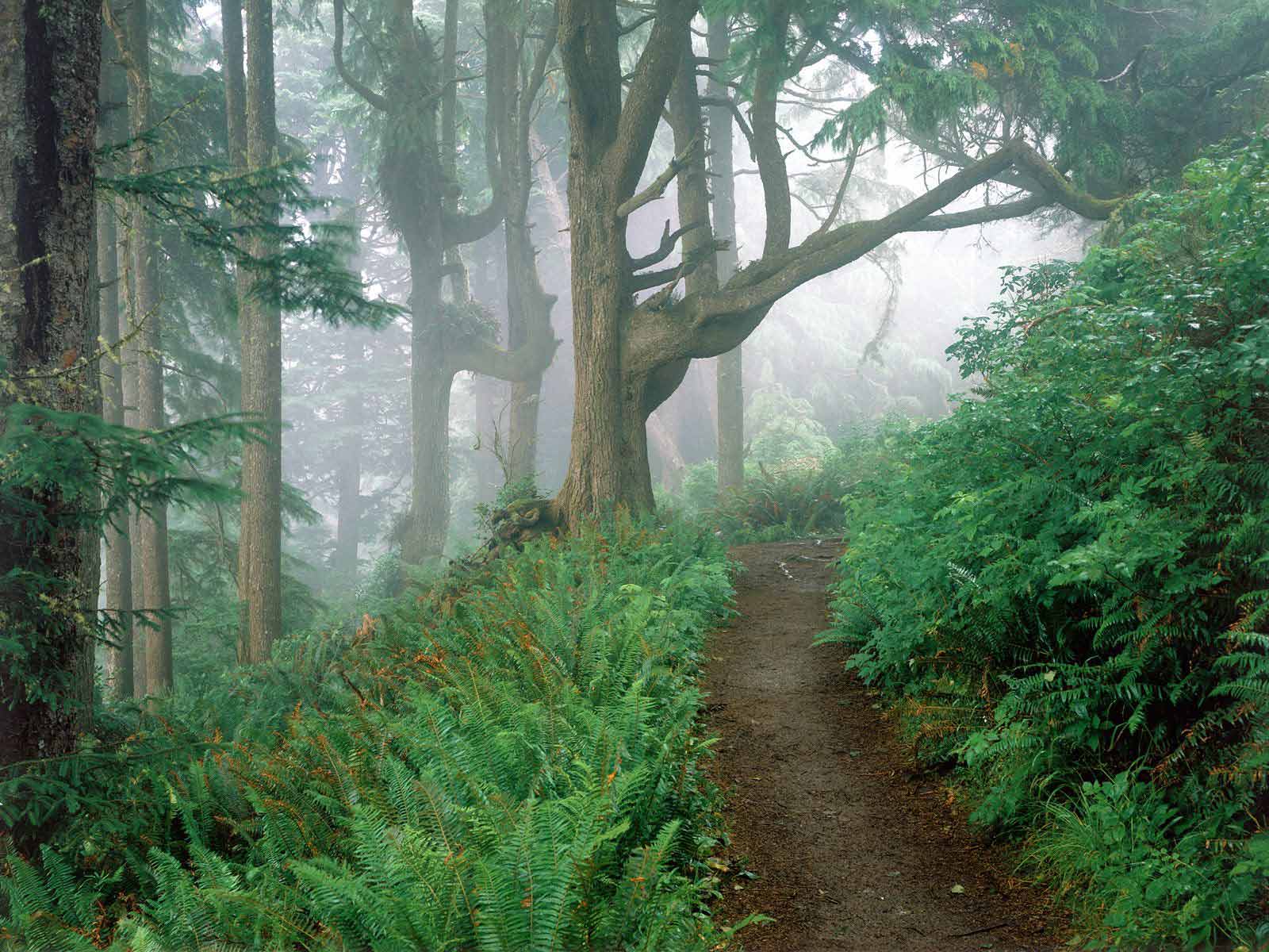 1600x1200 Oregon Wallpaper 21345 1600x1200px