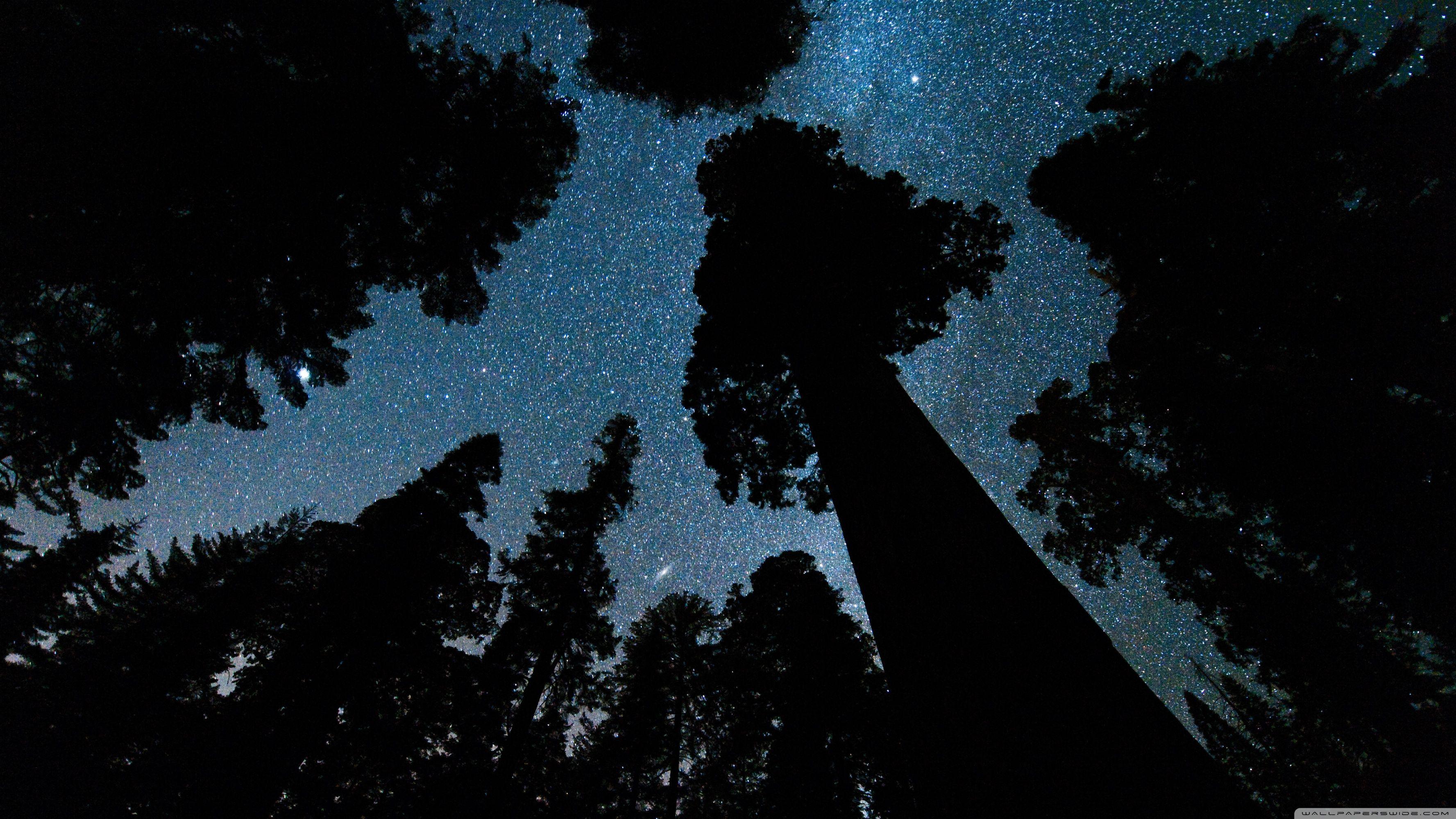 3554x1999 Andromeda And The Milky Way Above The Oregon Ultra HD Desktop