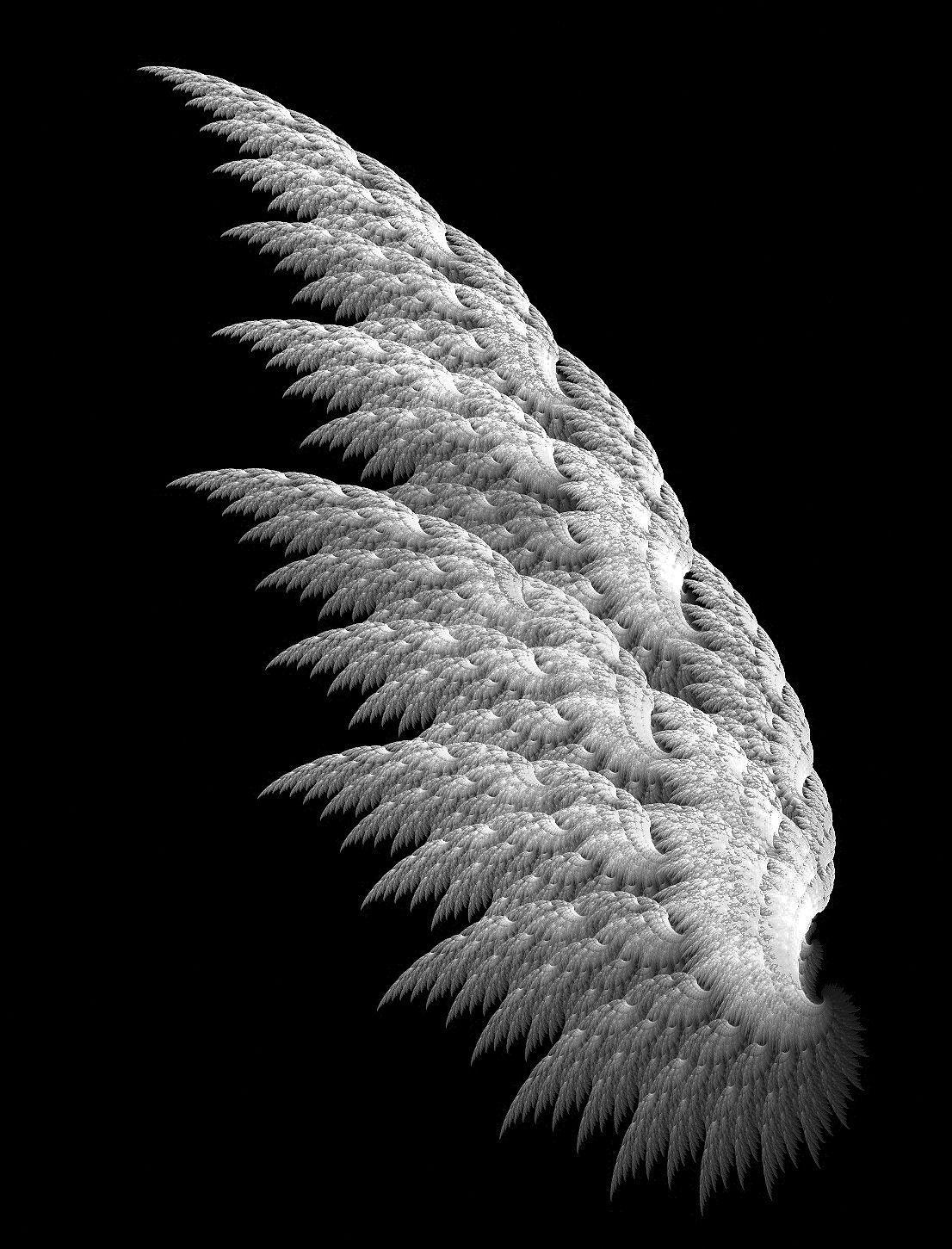 1106x1451 White Angel Wings Image & Picture. Angel wings image