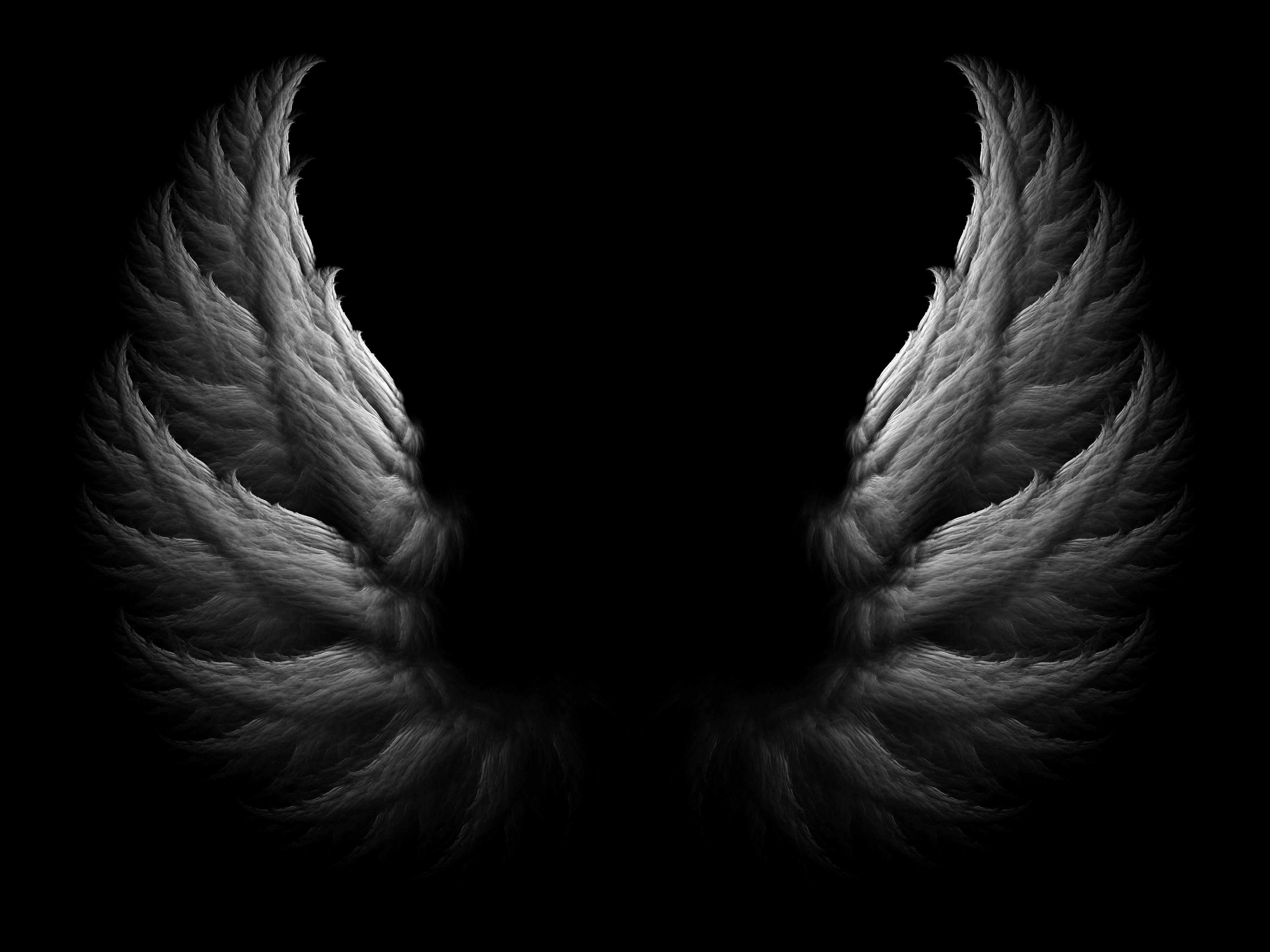Black Angel Wings Wallpaper