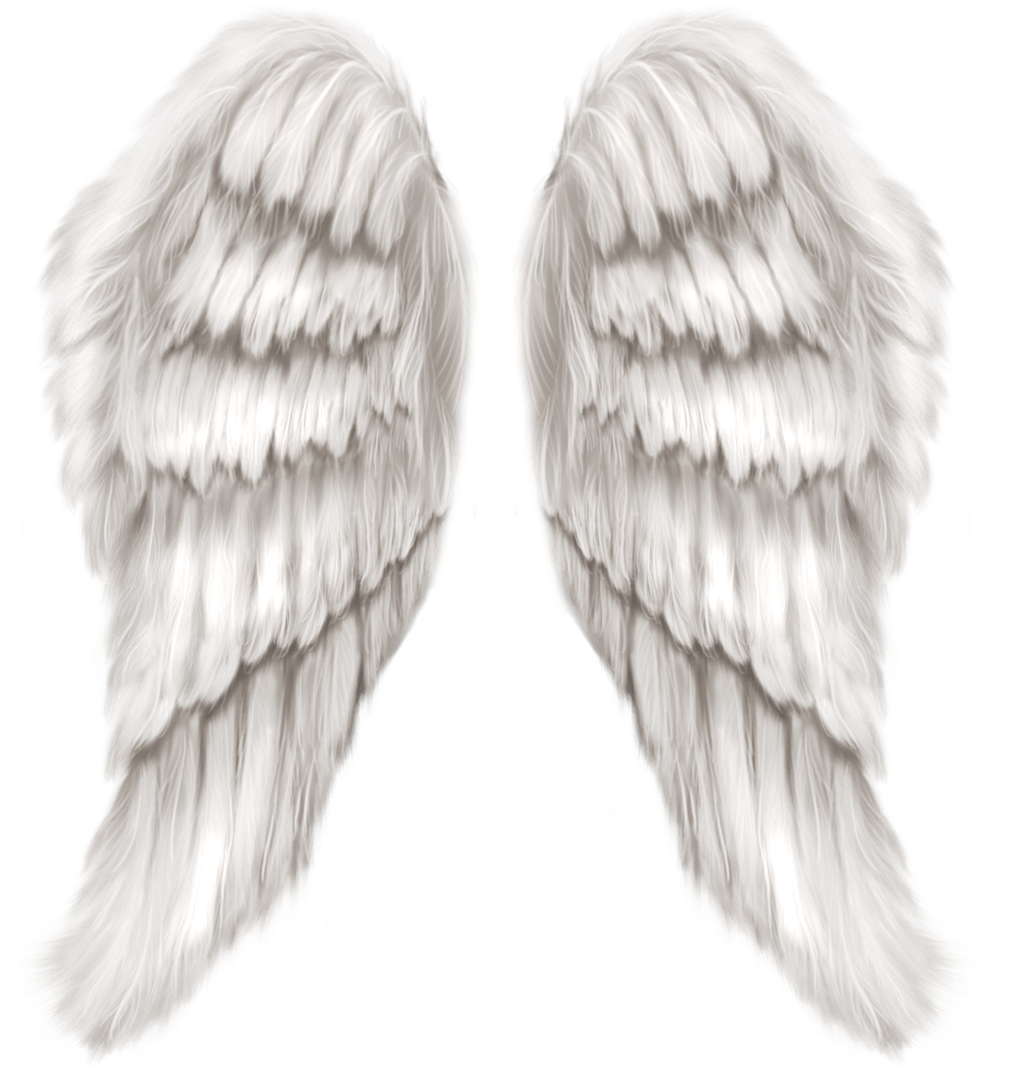 1433x1534 White Angel Wings Transparent PNG Clip Art Image