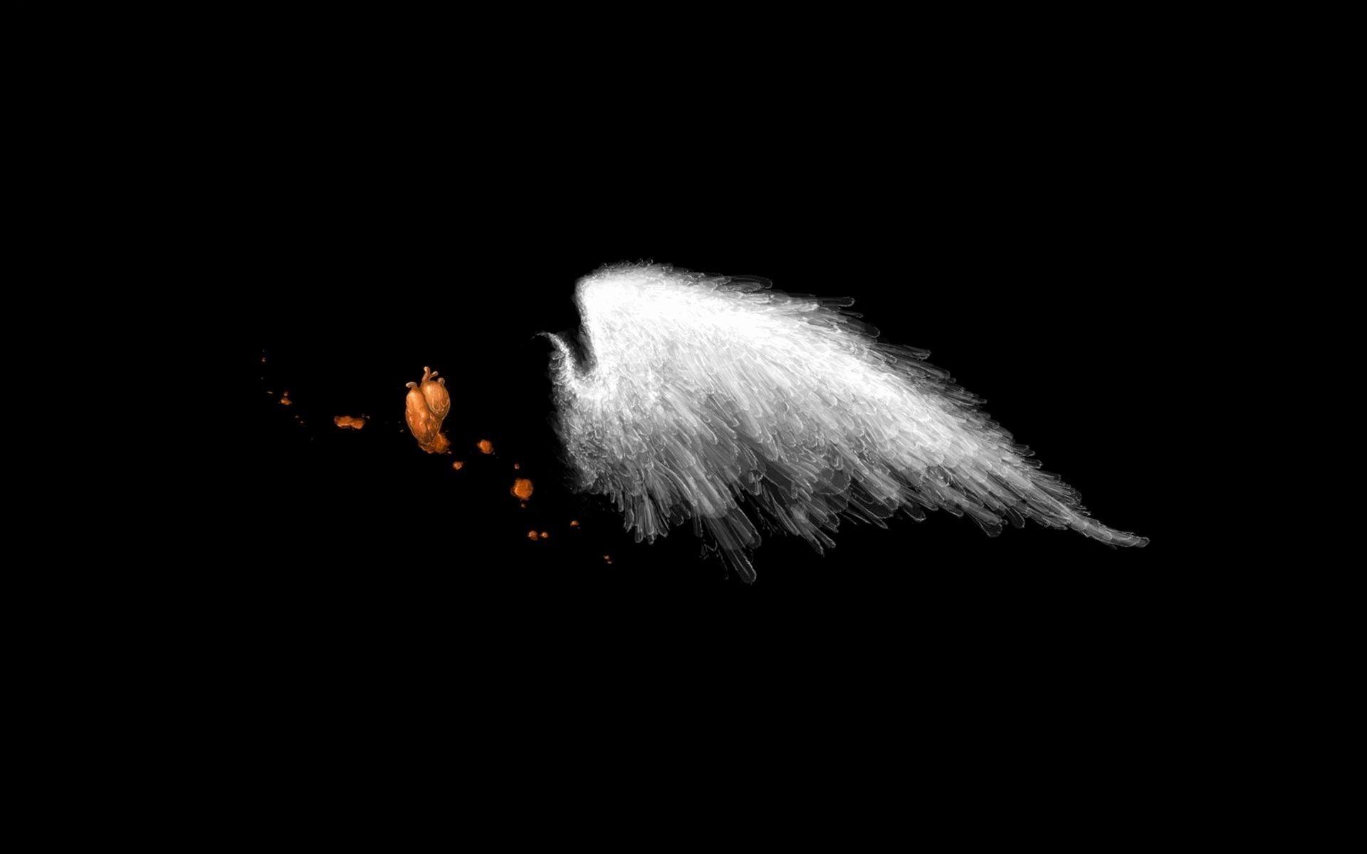 1920x1200 Angel Wing Background Inspirational Angel Wings Wallpaper