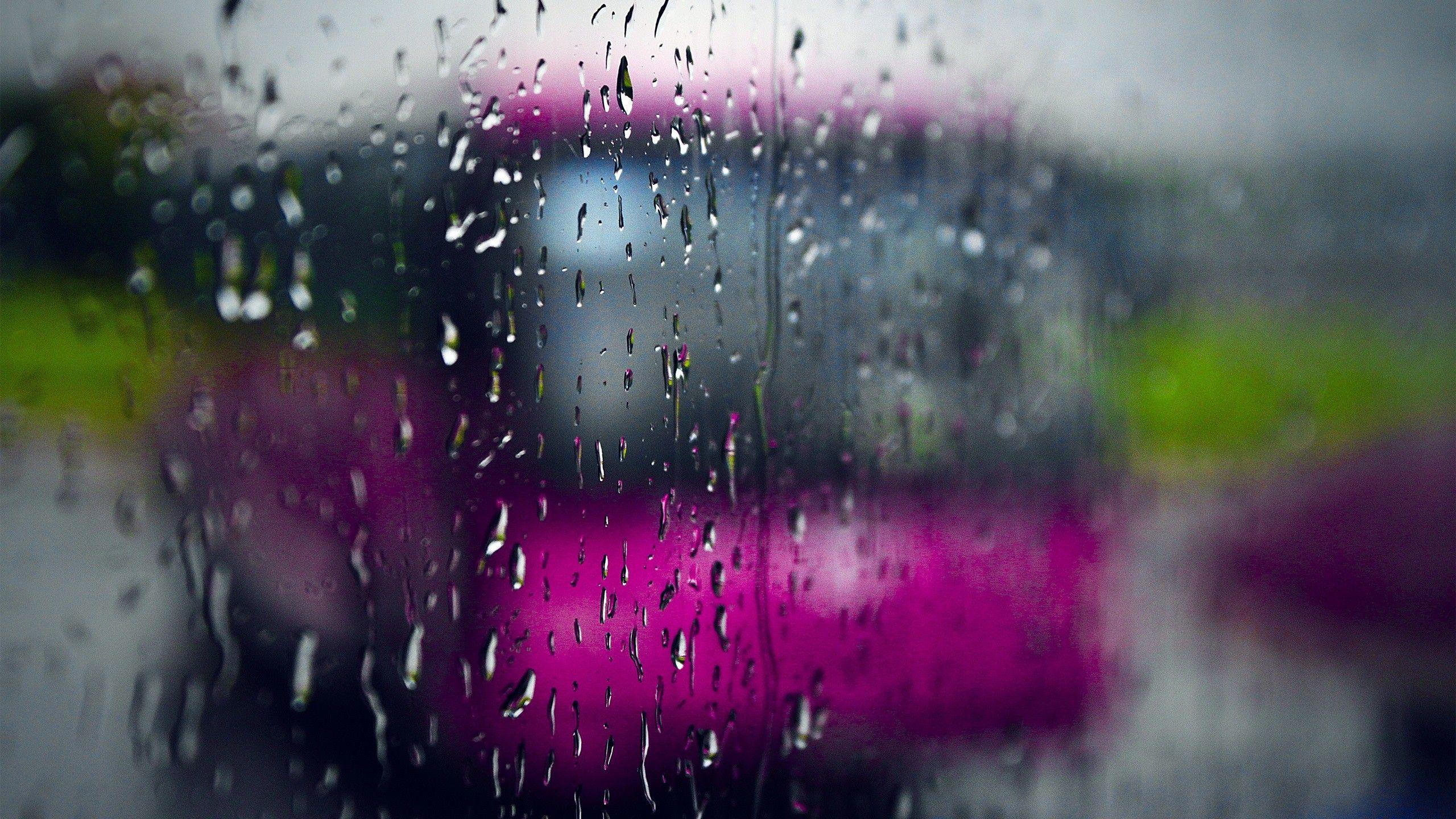 2560x1440 Rainy Day HD Background Wallpaper. All White Background