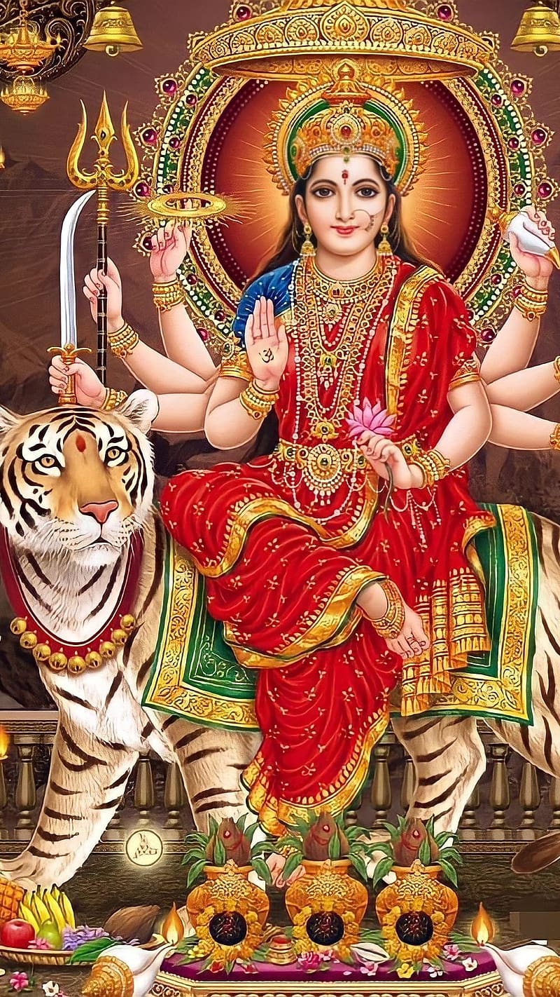 800x1422 Durga Mata, Sitting On Tiger, goddess, HD phone wallpaper