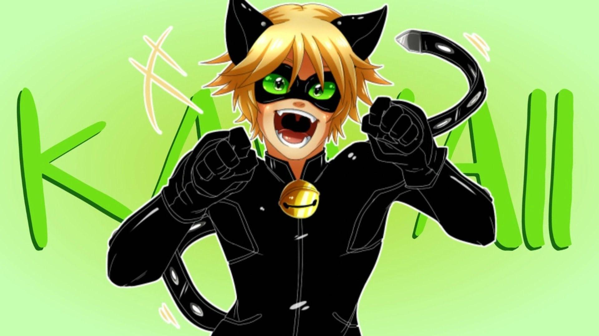 1920x1080 Chat Noir Wallpaper