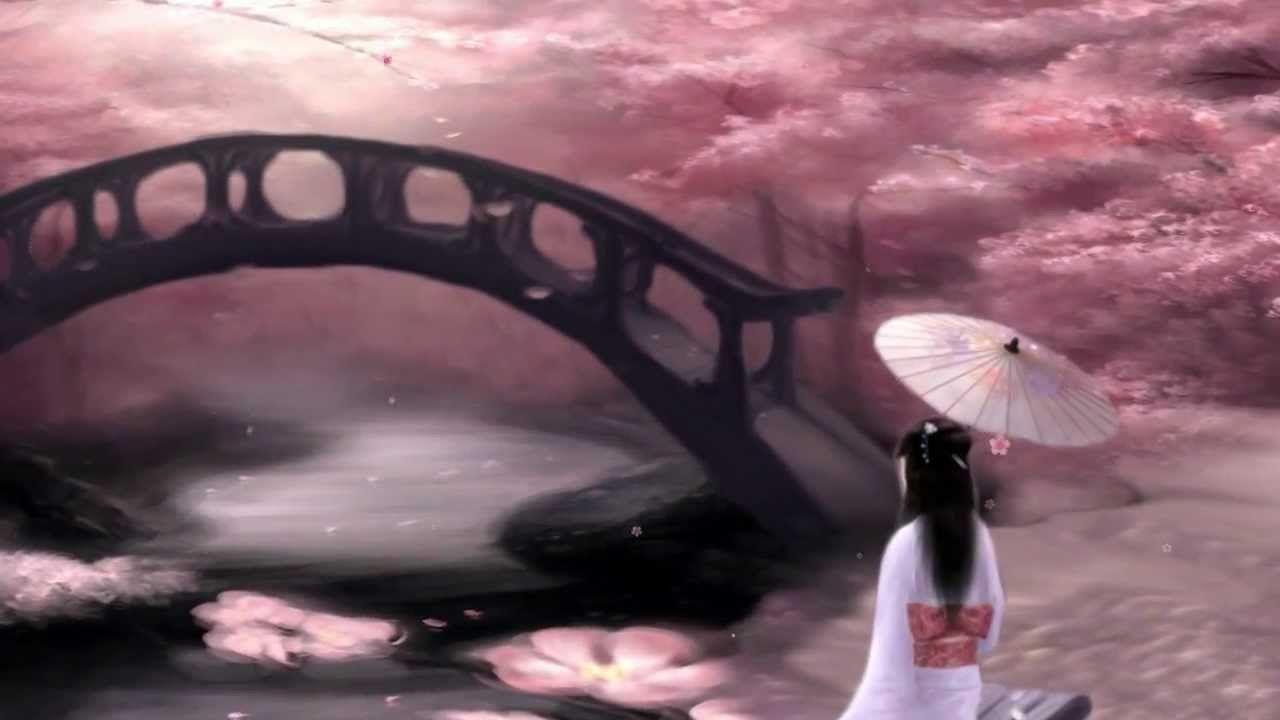 1280x720 Geisha Bridge' under Japanese Cherry Blossom Sakura Trees