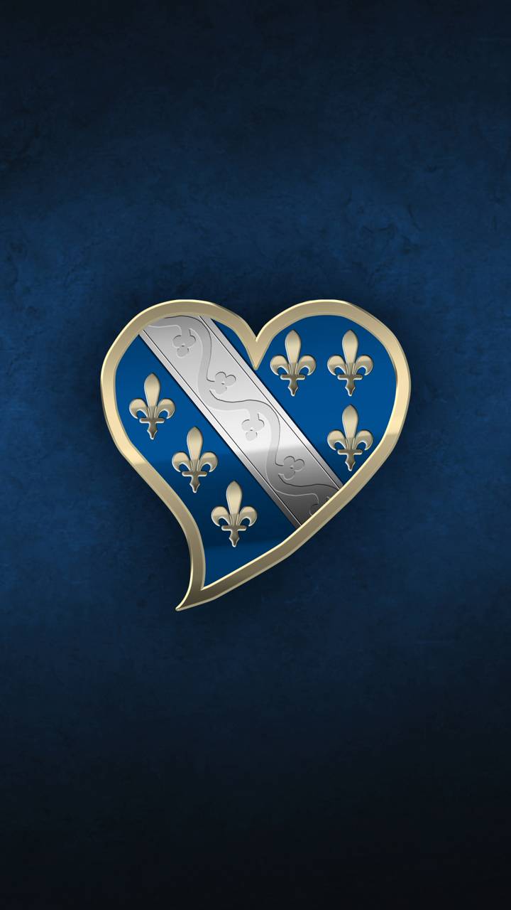 720x1280 Bosnian Heart Blue wallpaper