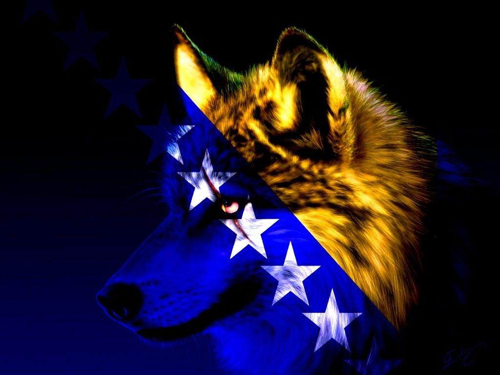 1024x768 Wallpaper Tagged With Bosnian: Yelow Blue Star Bosnia Wolf Bosnian