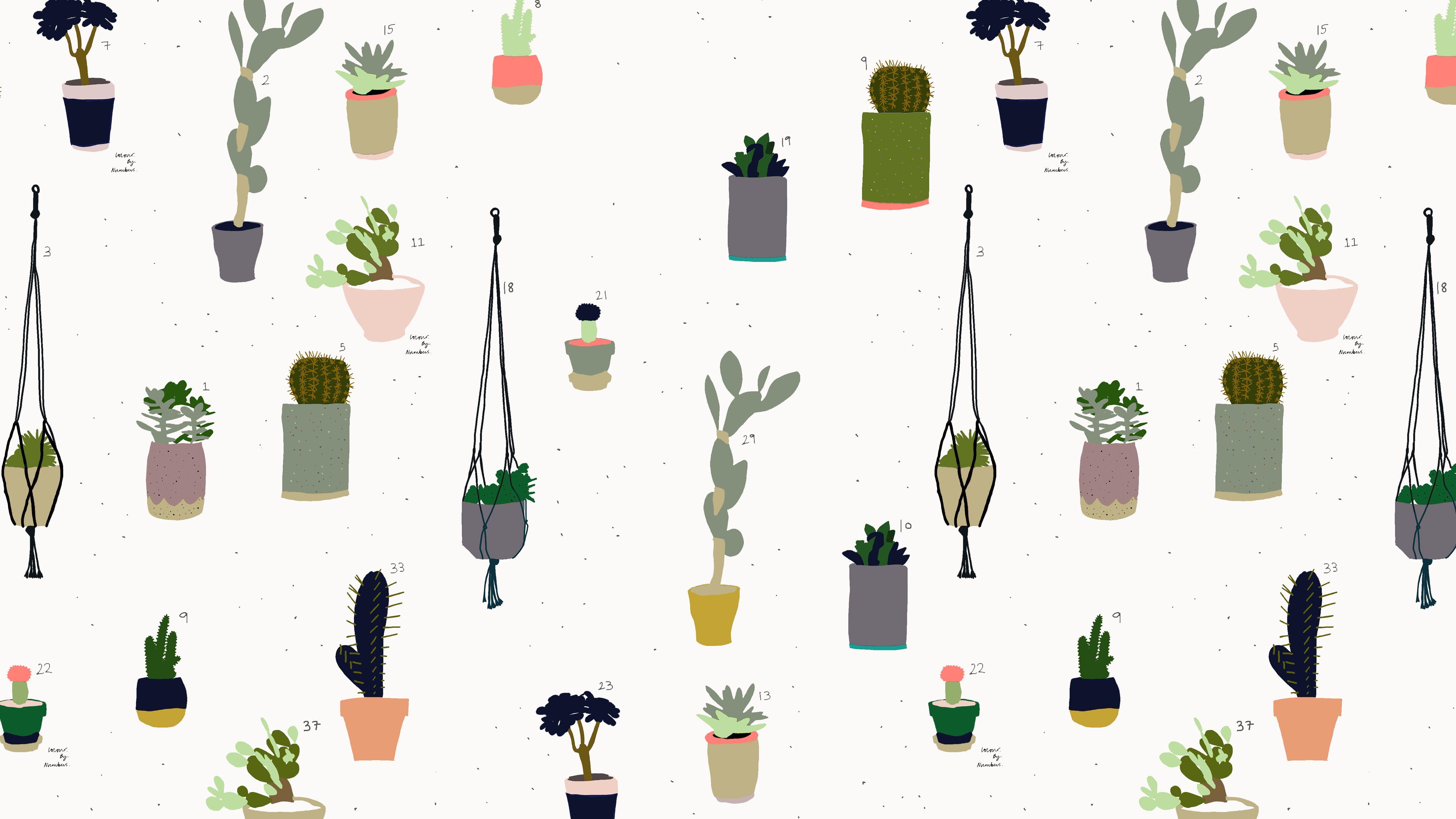 5120x2880 Cactus Desktop Wallpaper