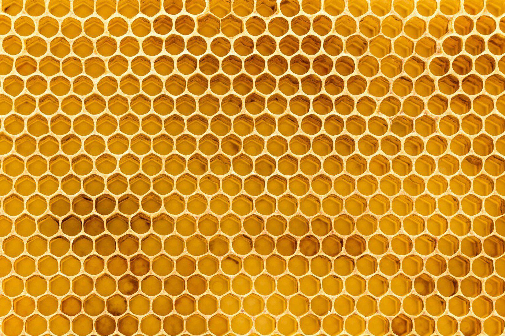 1650x1100 Honeycomb Texture Wallpaper Mural. Honeycomb wallpaper, Mural wallpaper, Textured wallpaper