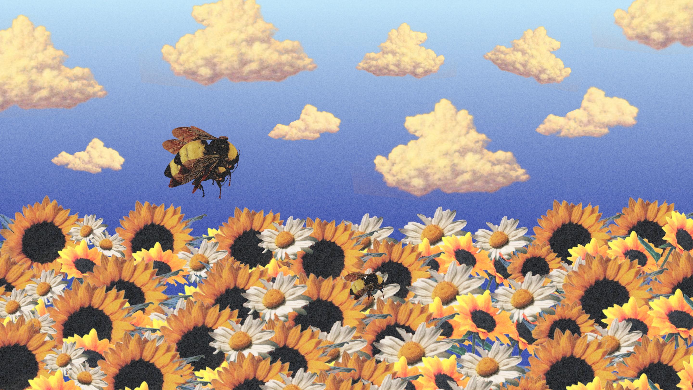 2880x1620 Flower boy custom mobile and desktop wallpaper by me!