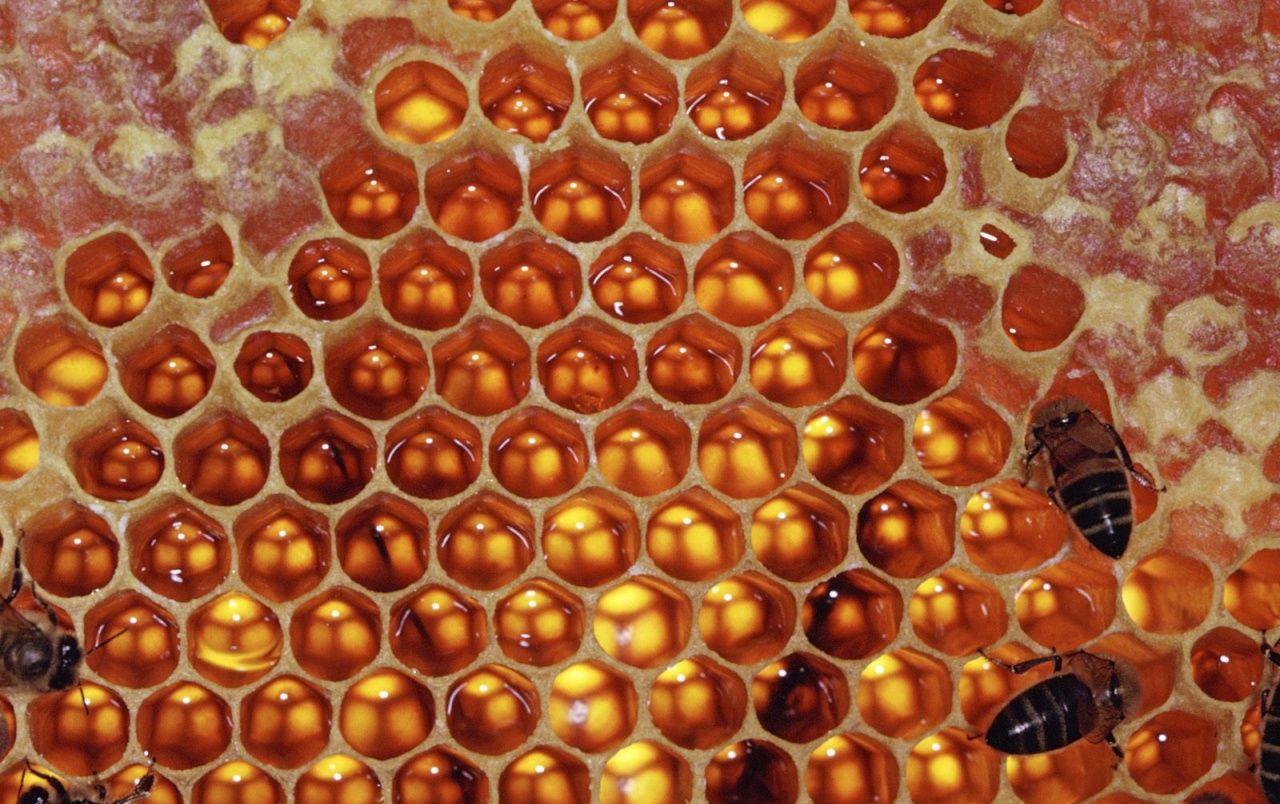 1280x804 Honeycomb wallpaper. Honeycomb