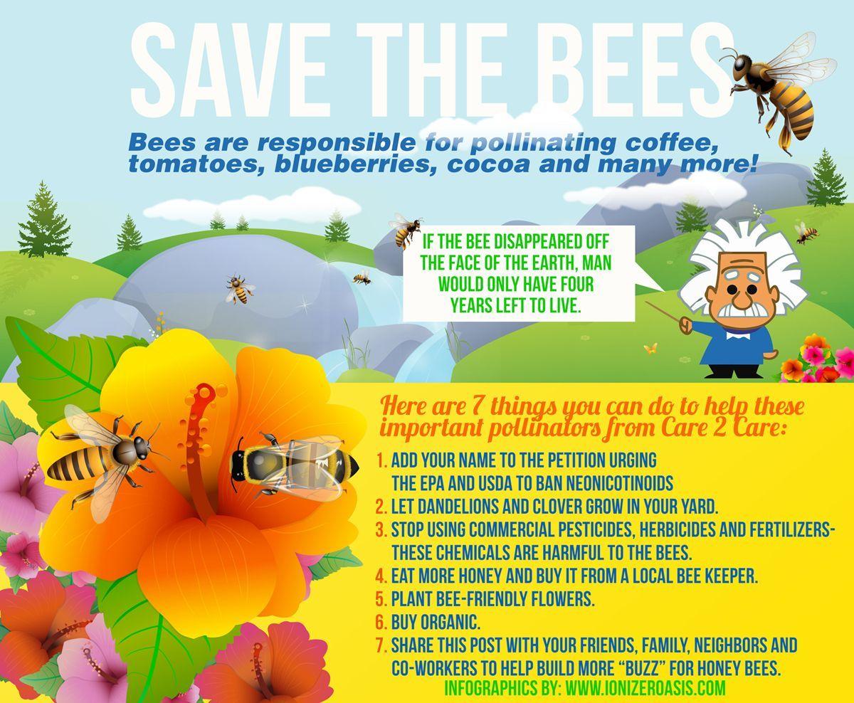 Save the Bees Wallpapers - Top Free Save the Bees Backgrounds ...