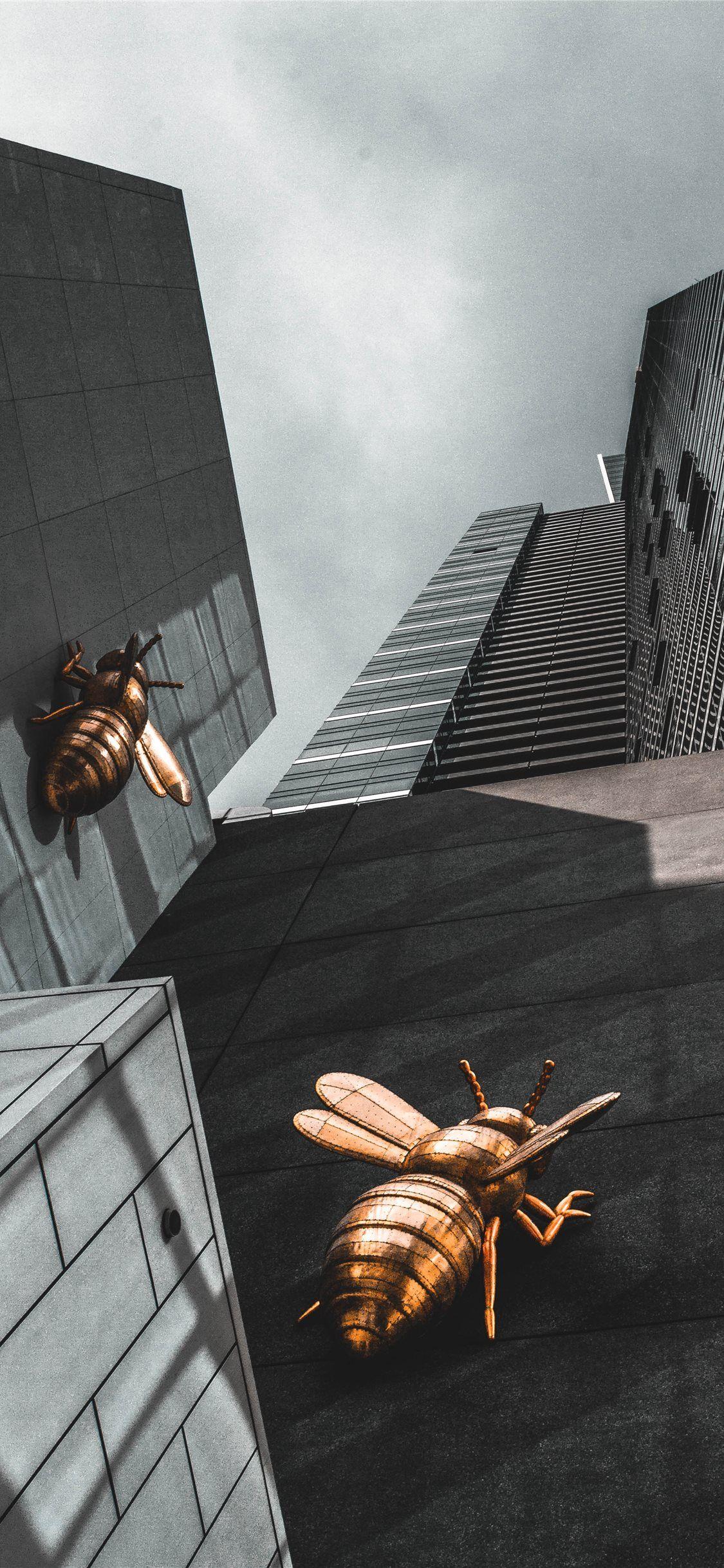 1125x2436 Queen Bee iPhone X Wallpaper Free Download