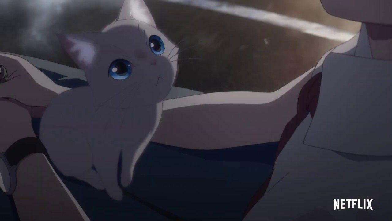 1280x720 Nakitai Watashi wa Neko wo Kaburu Anime Film's Release Date