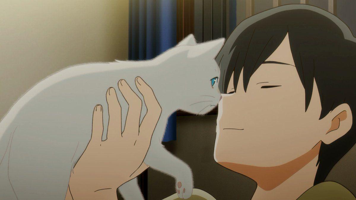 A Whisker Away Wallpapers Top Free A Whisker Away Backgrounds