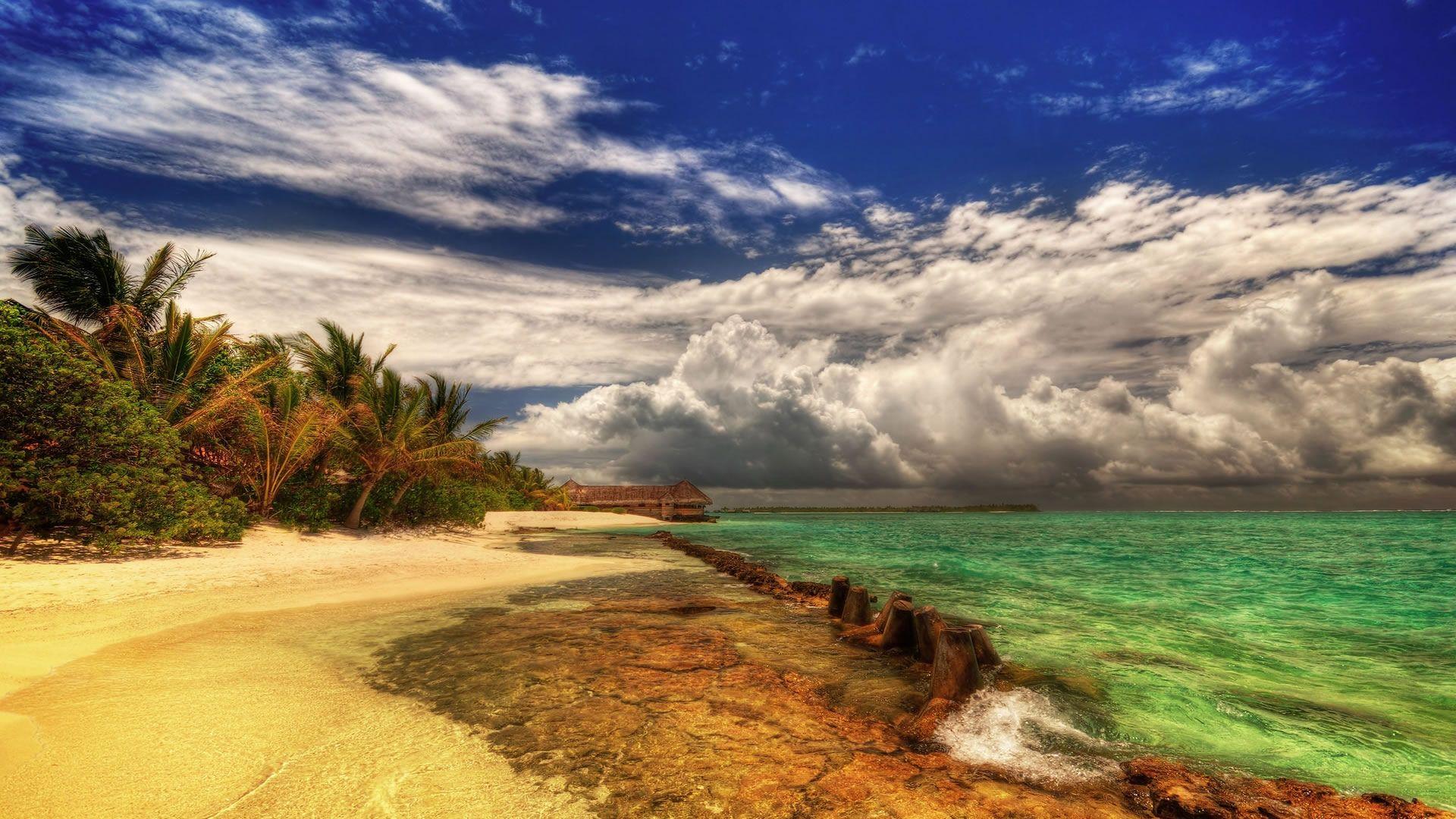 1920x1080 Free download Wallpaper Beach Bar Bums [1920x1080]