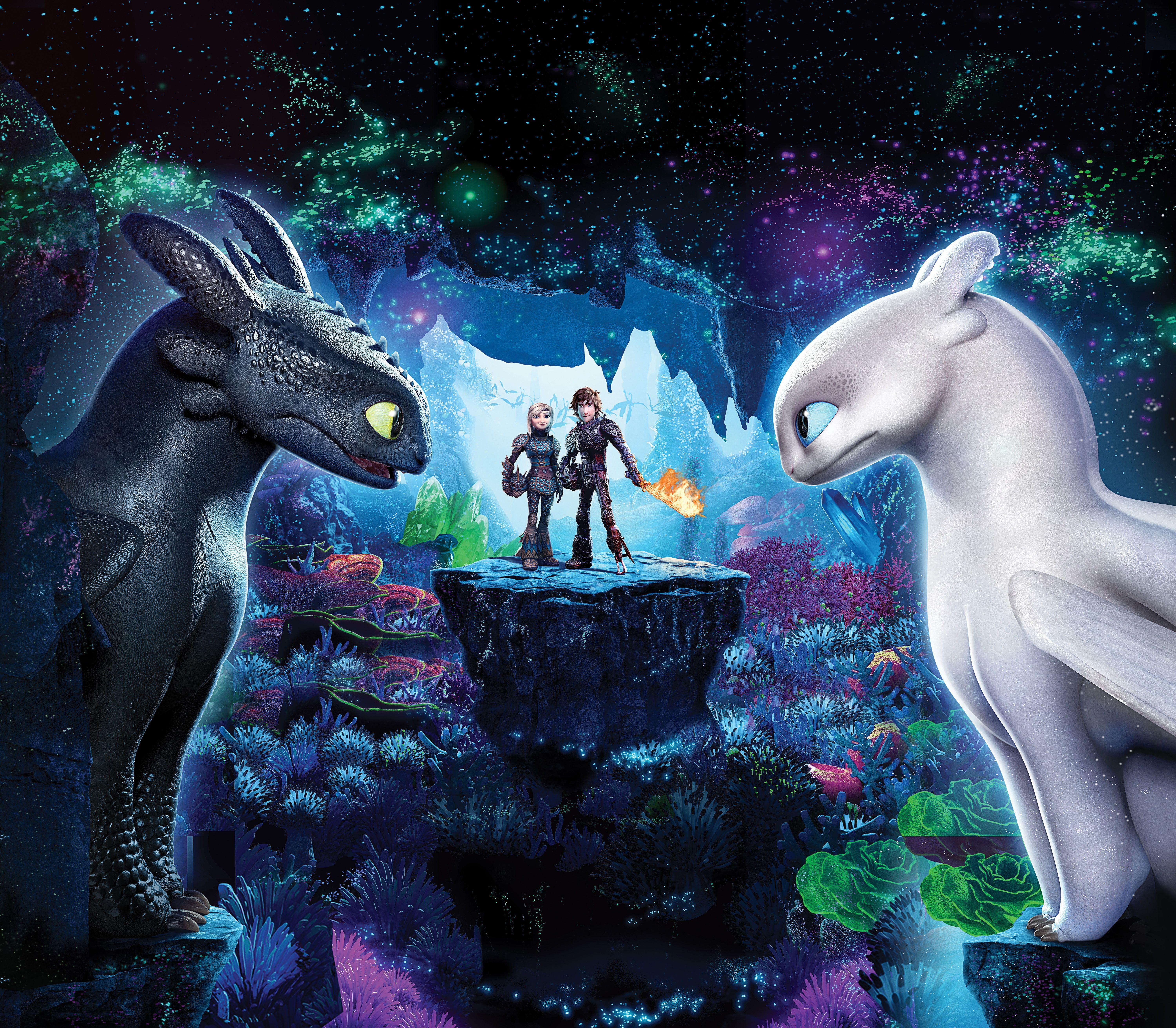 6000x5244 How to Train Your Dragon: The Hidden World #Hiccup #Toothless
