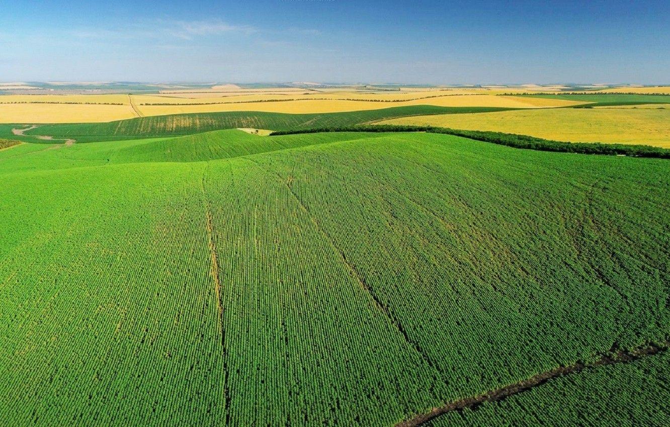 1332x850 Wallpaper field, spring, field, spring, Moldova, Moldova image