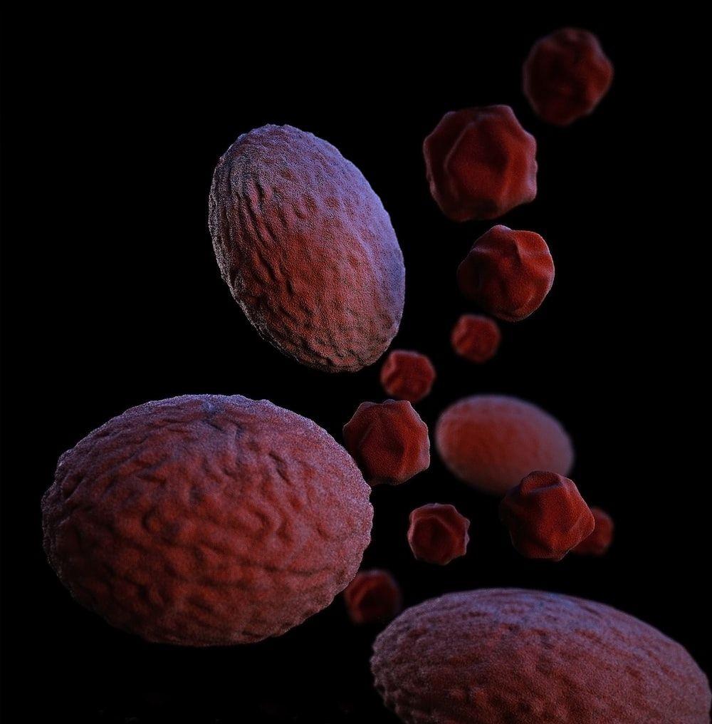 1000x1016 Cardiovascular Disease Picture. Download Free Image