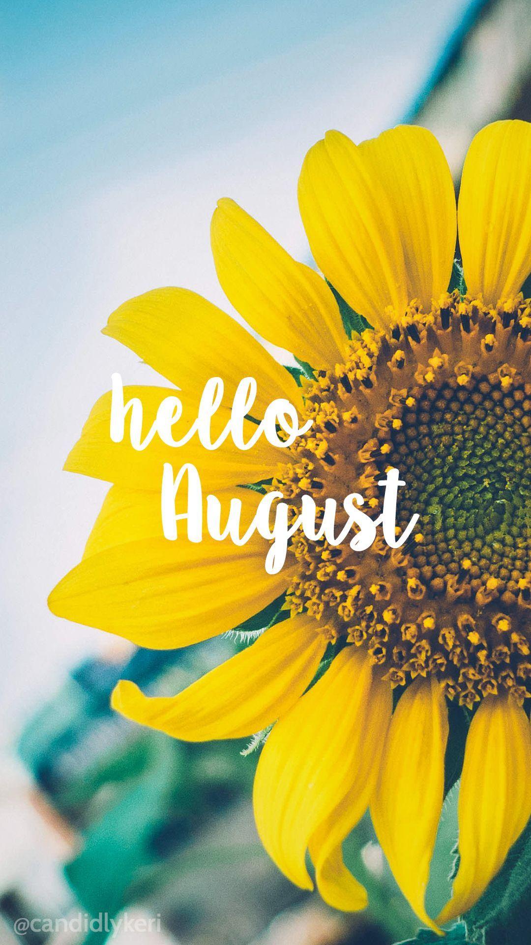 Hello August Wallpapers - Top Free Hello August Backgrounds -  WallpaperAccess