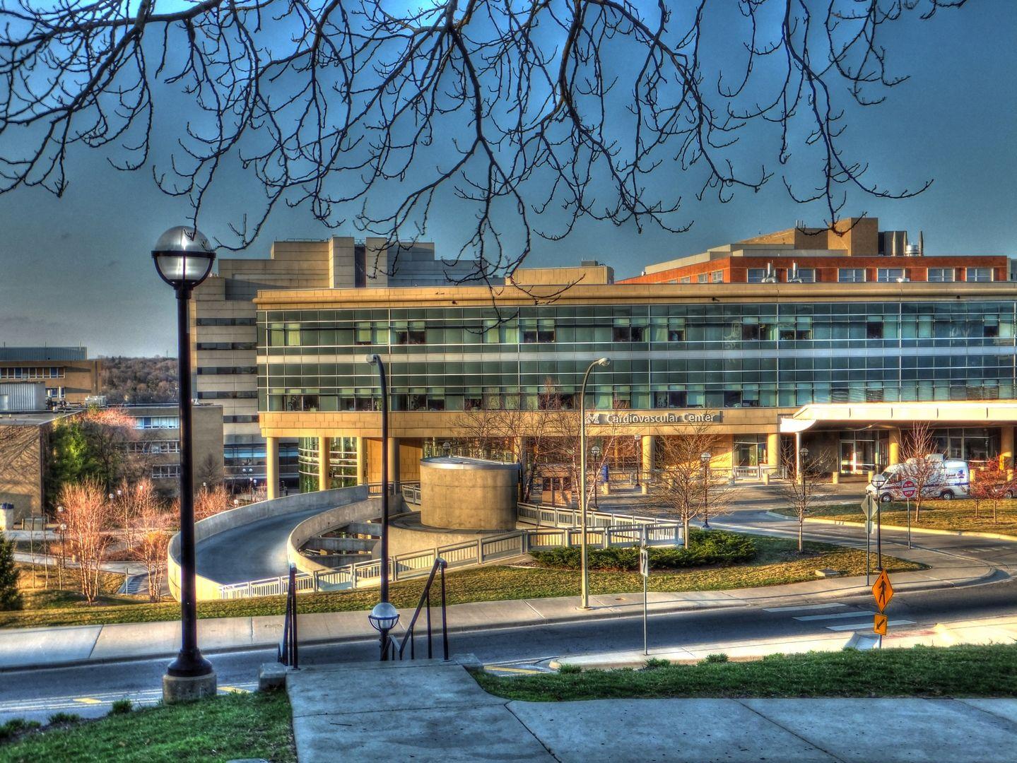 1439x1080 Wallpaper Michigan USA Cardiovascular Center Cities