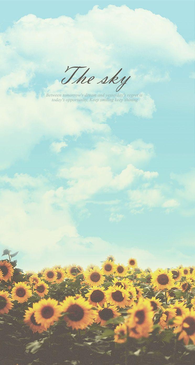 744x1392 Sunflower Sky Keep Shining Hình nền Android tải xuống miễn phí