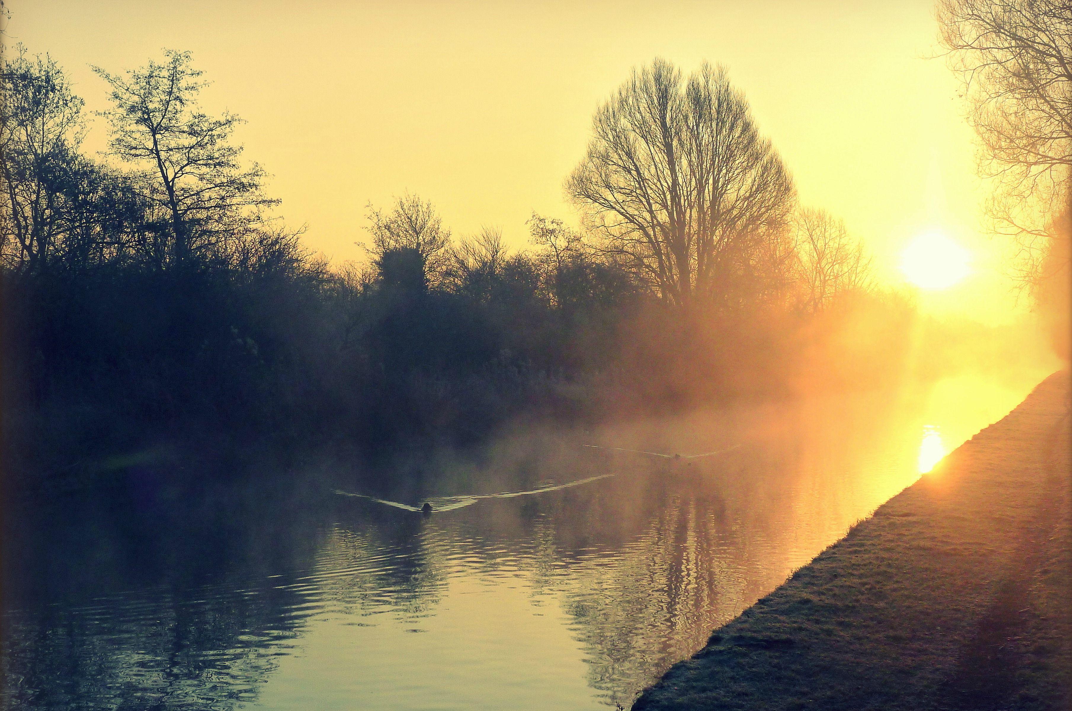 3619x2401 Vitamin D deficiency increases risk of cardiovascular disease