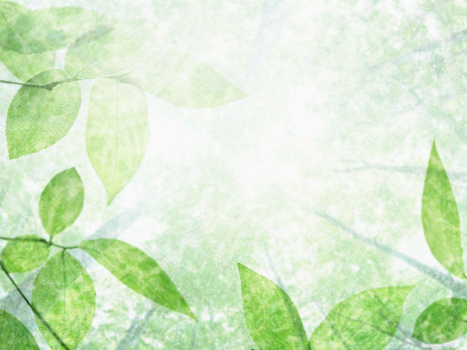 1600x1200 Watermark fresh green leaf wallpaper Wallpaper