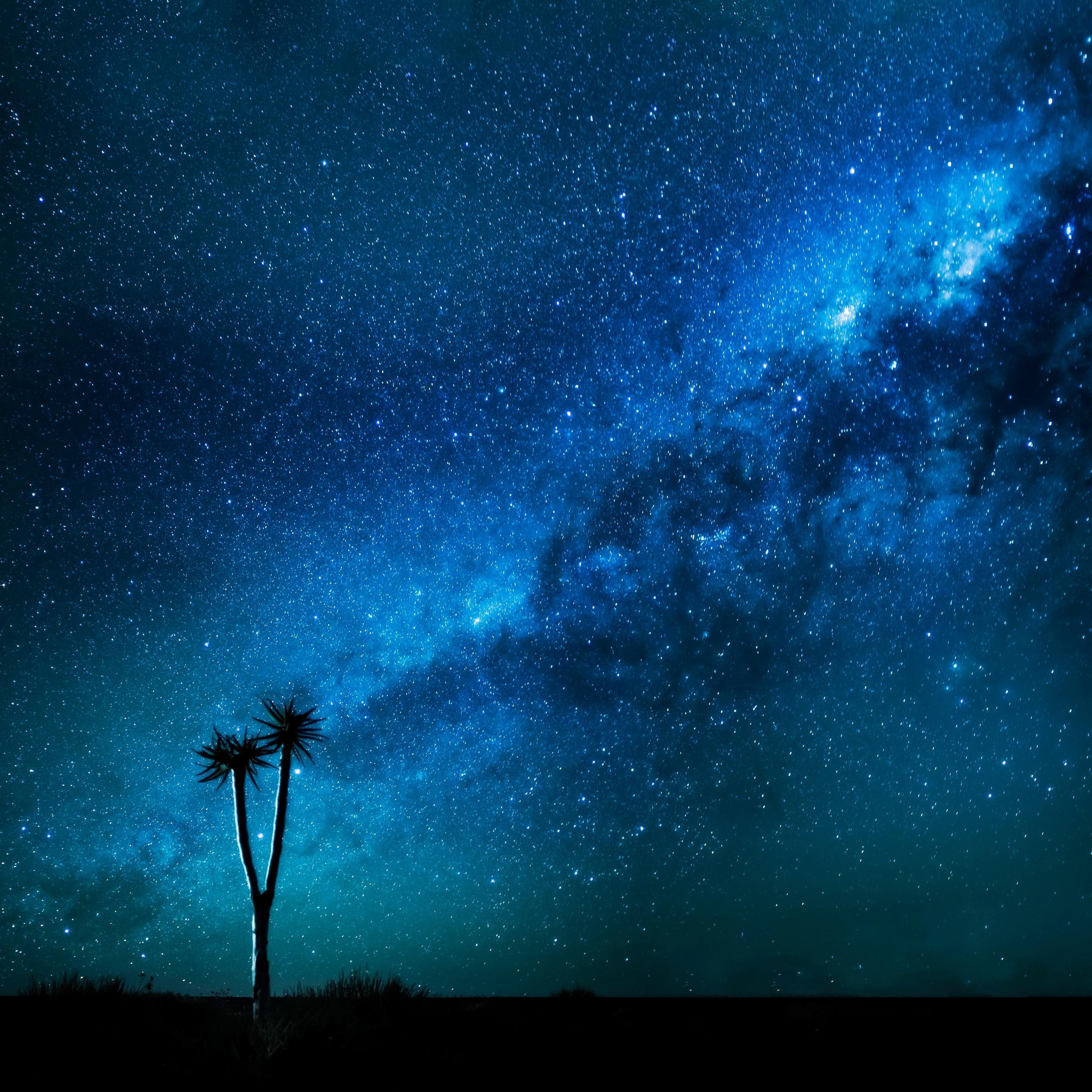 2732x2732 Black Wallpaper, AMOLED, Dark Background Blackify for Android