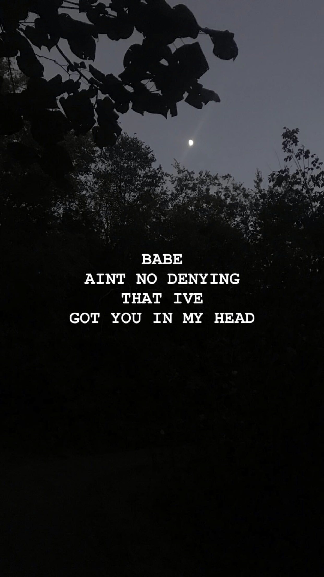1242x2208 You're the one. The one lyrics, Lyrics art, Greta