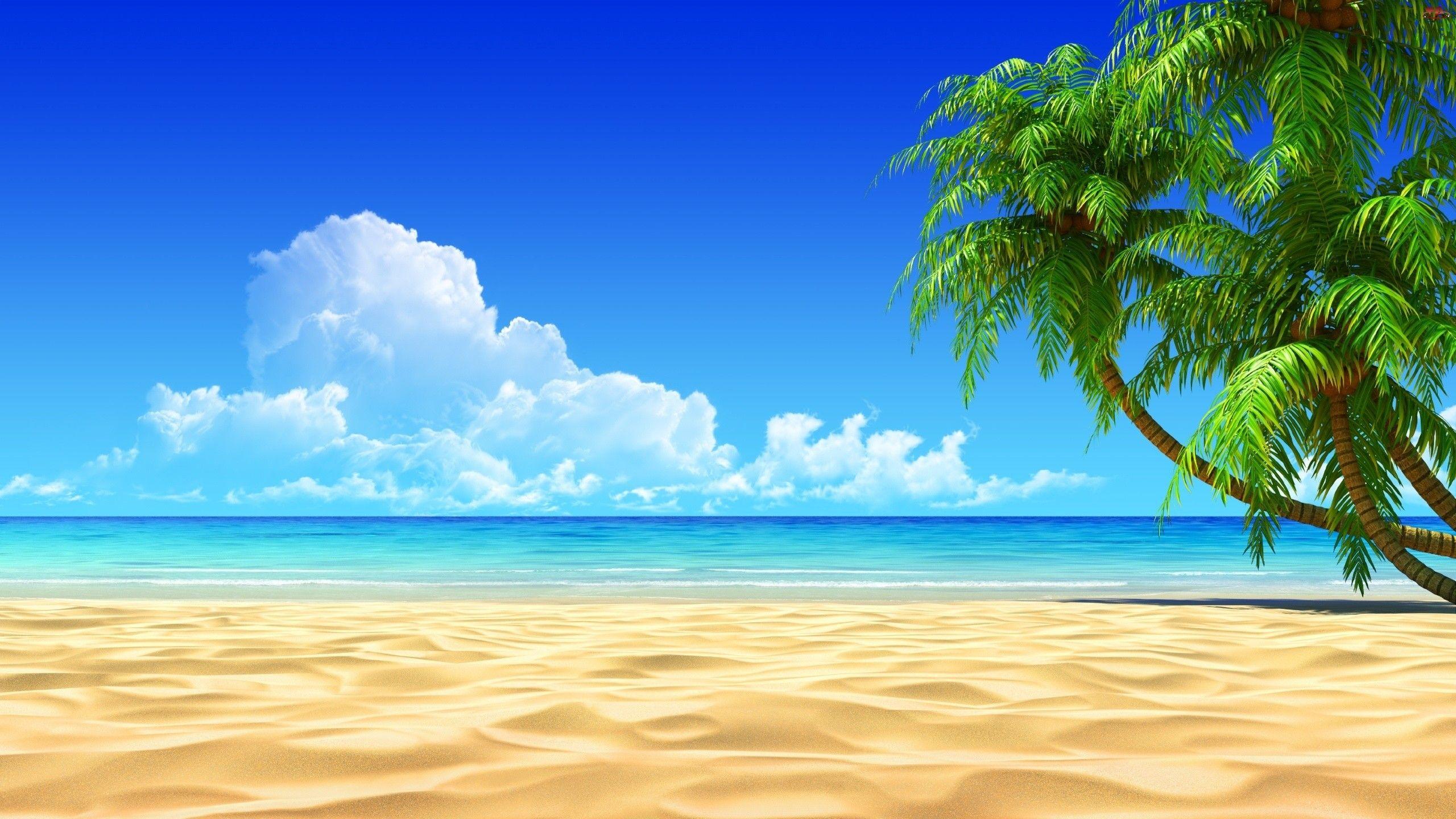 2560x1440 Download Top Beach Wallpaper Without Watermark
