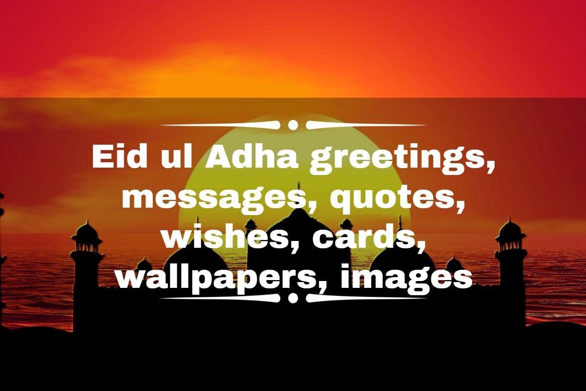 1200x800 Heart Warming Eid Ul Adha Greetings That You Can Send Your Family