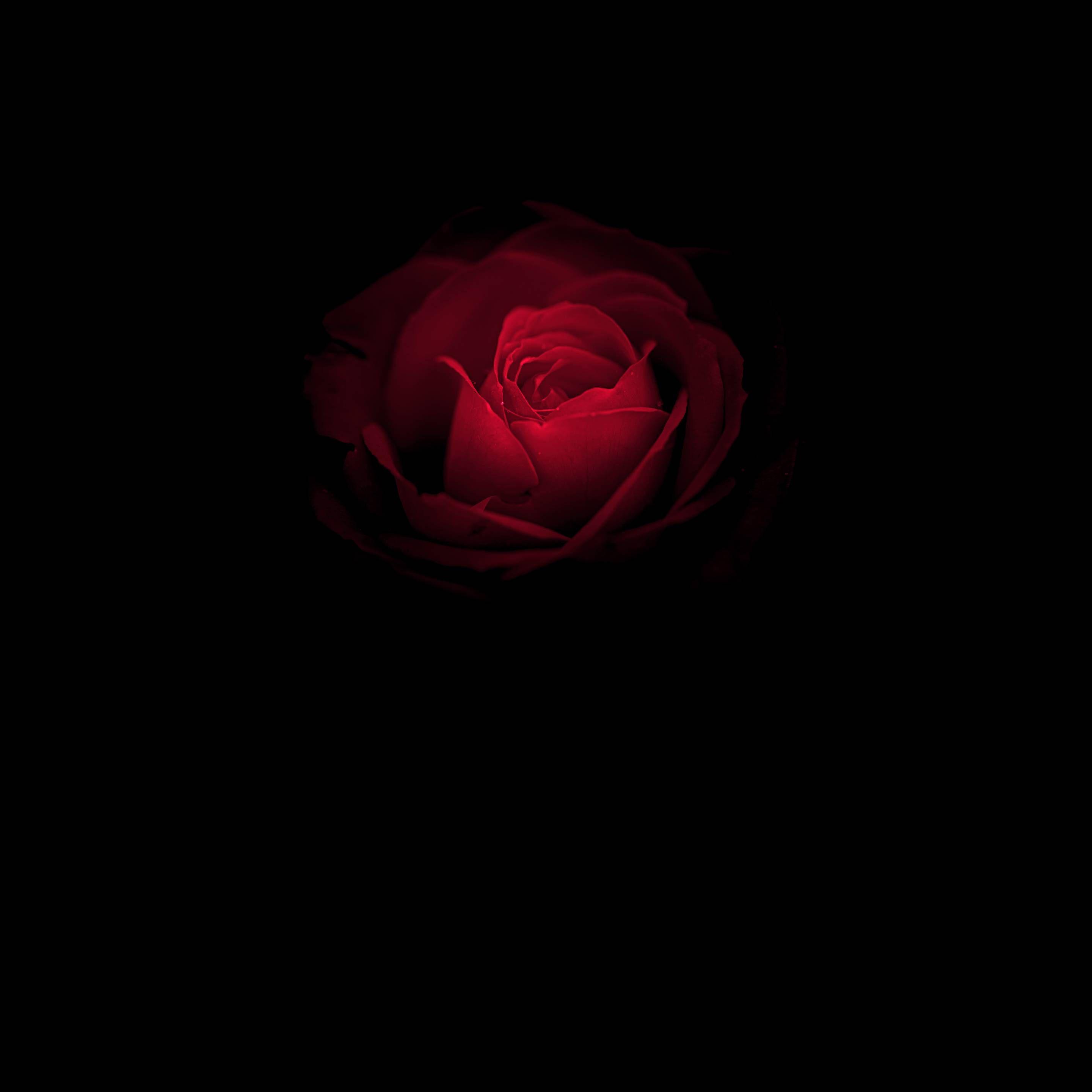 2880x2880 Huawei Mate RS Porsche Design Wallpaper 04 - [2880x2880]