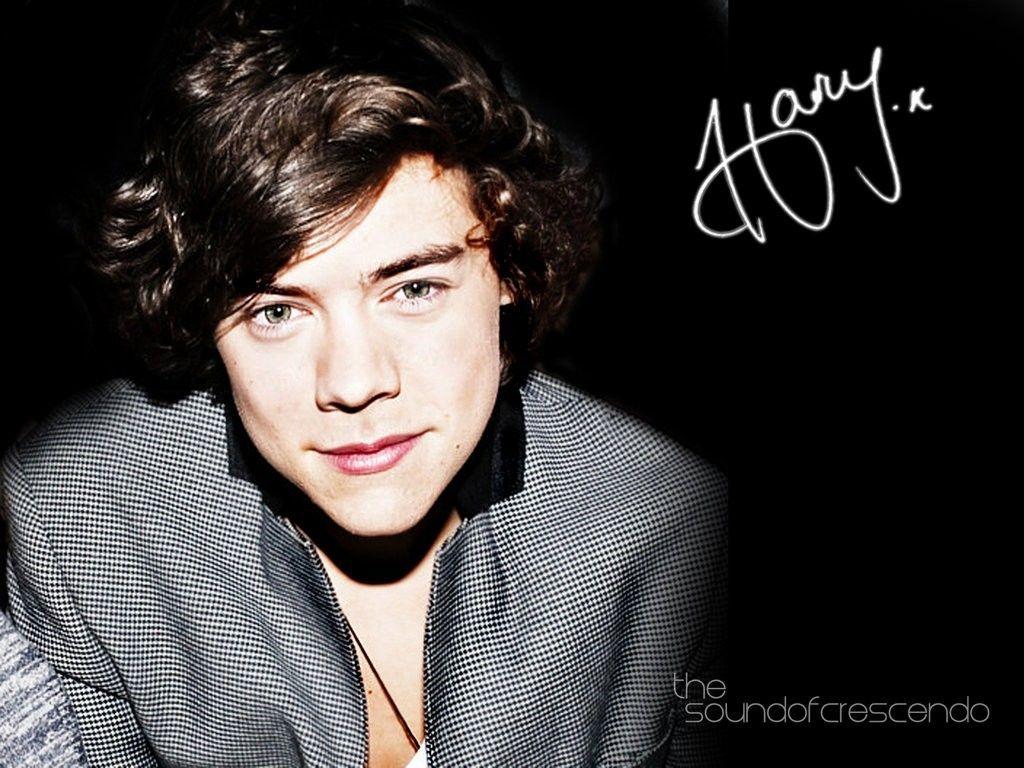 46+ One Direction Harry Styles Wallpaper Hd PNG