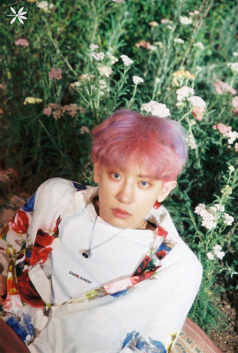 811x1200 Update: EXO's Chanyeol Looks Pictureque In Colorful Teaser Image