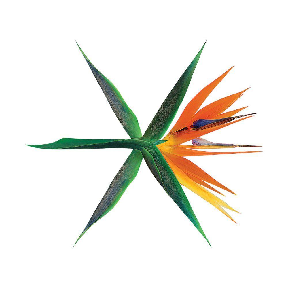 1000x1000 EXO