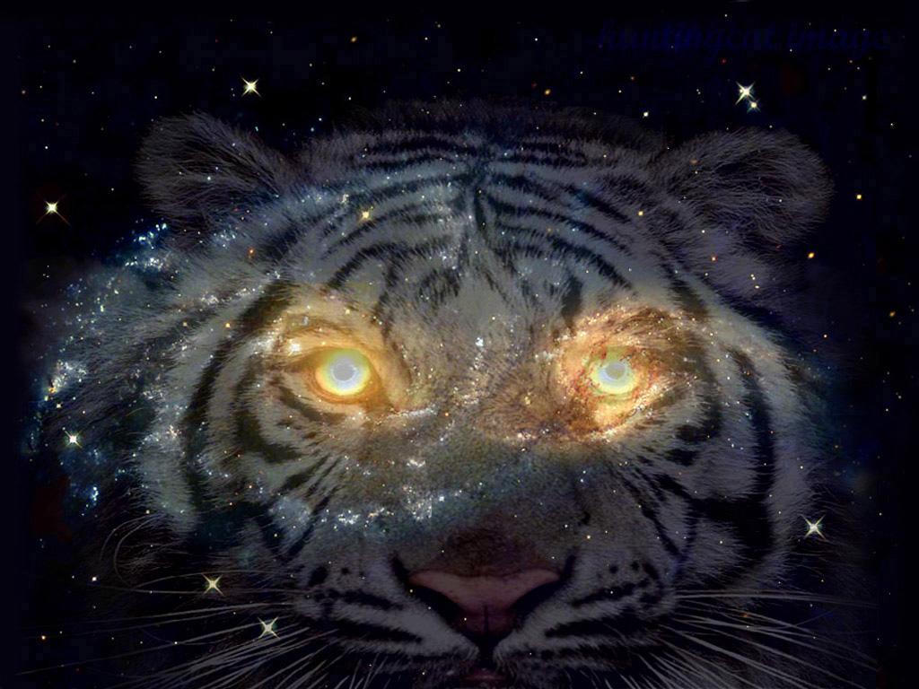 Premium Photo  Epic cinematic portrait of a cosmic tiger