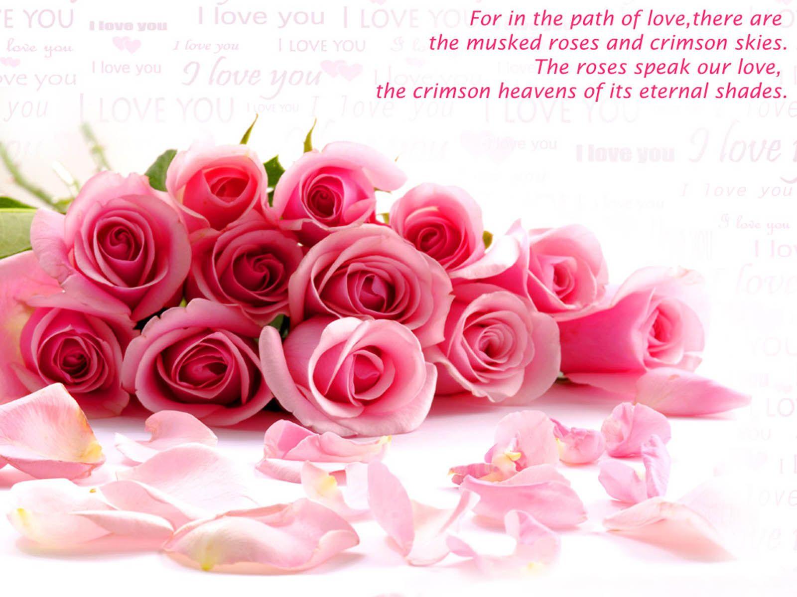 1600x1200 Love Quotes Desktop Wallpaper Animal Gifs Buzzfeed