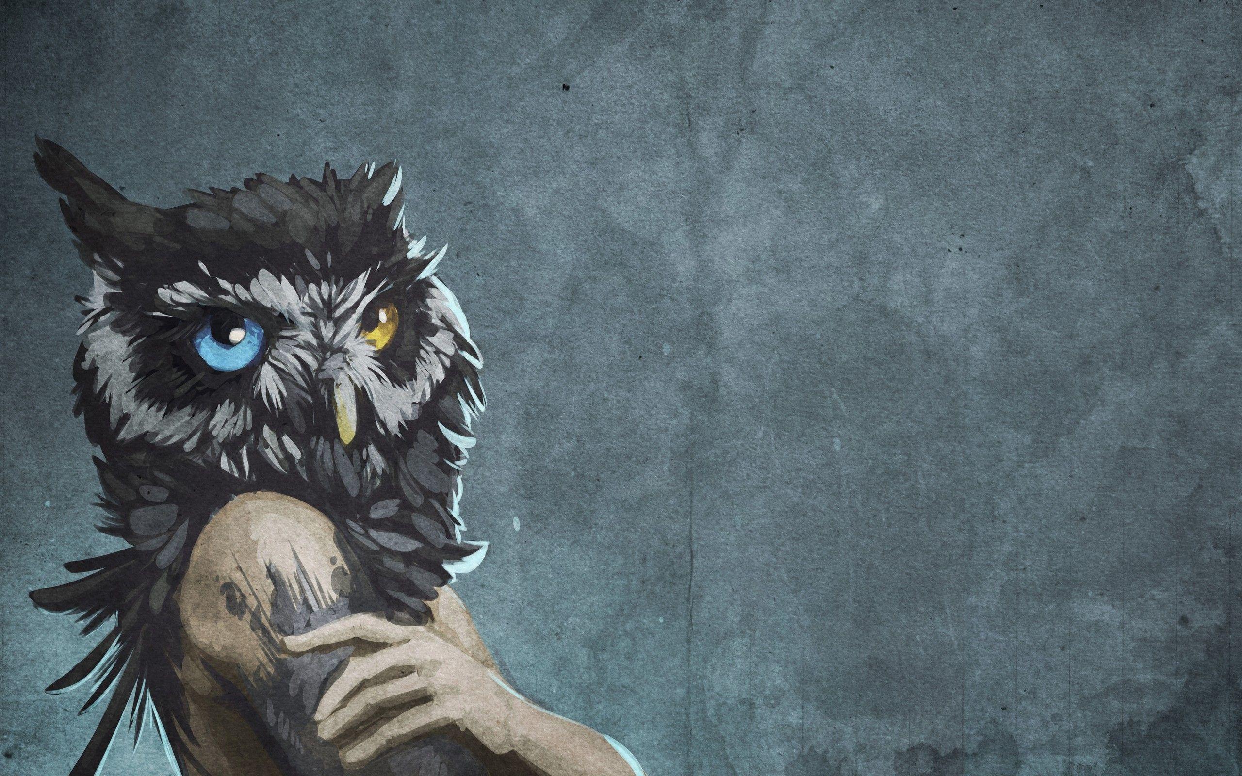 2560x1600 Abstract blue eyes animals human textures fantasy art yellow eyes owls artwork bodies wallpaperx1600