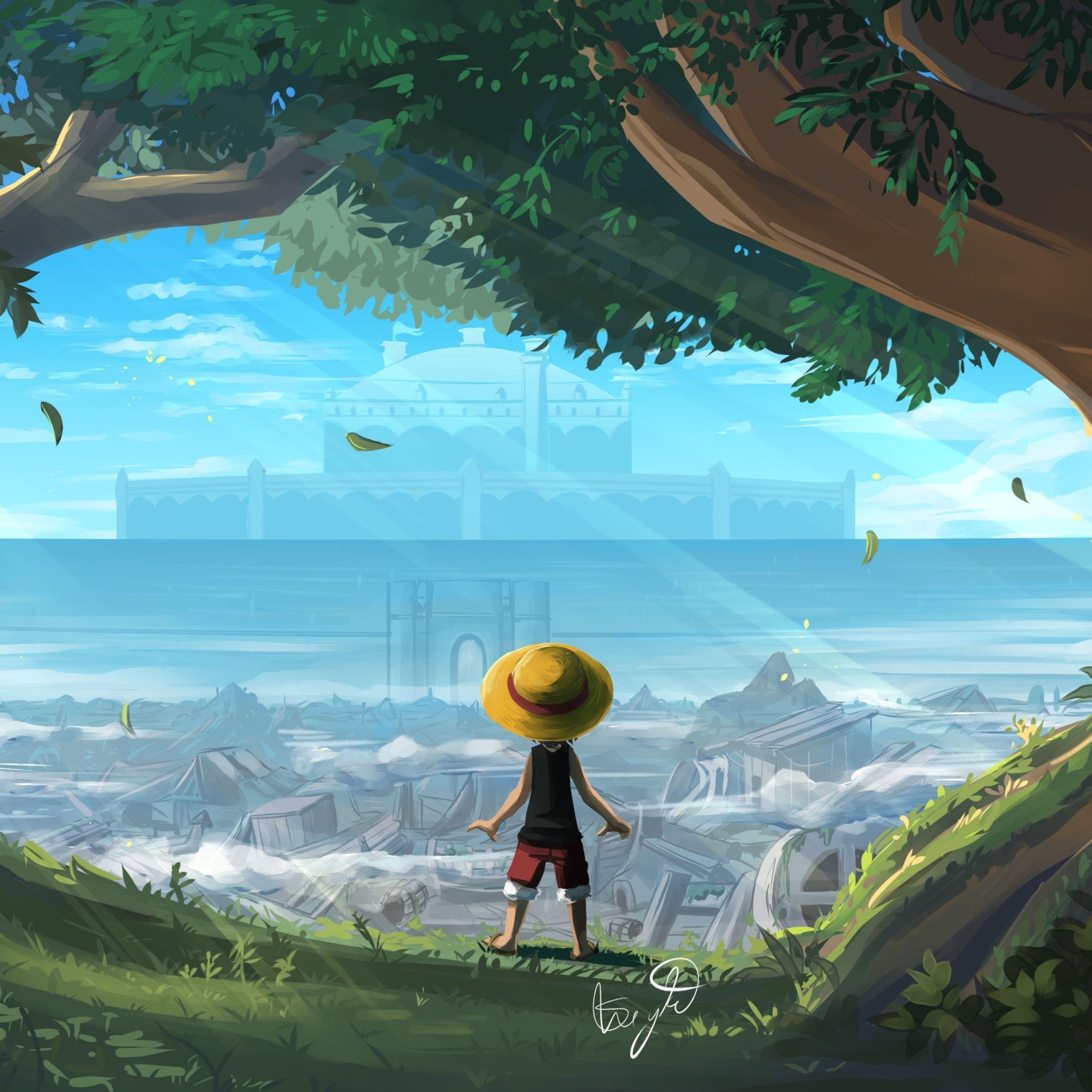 2932x2932 Monkey D Luffy One Piece Art iPad Pro Retina Display