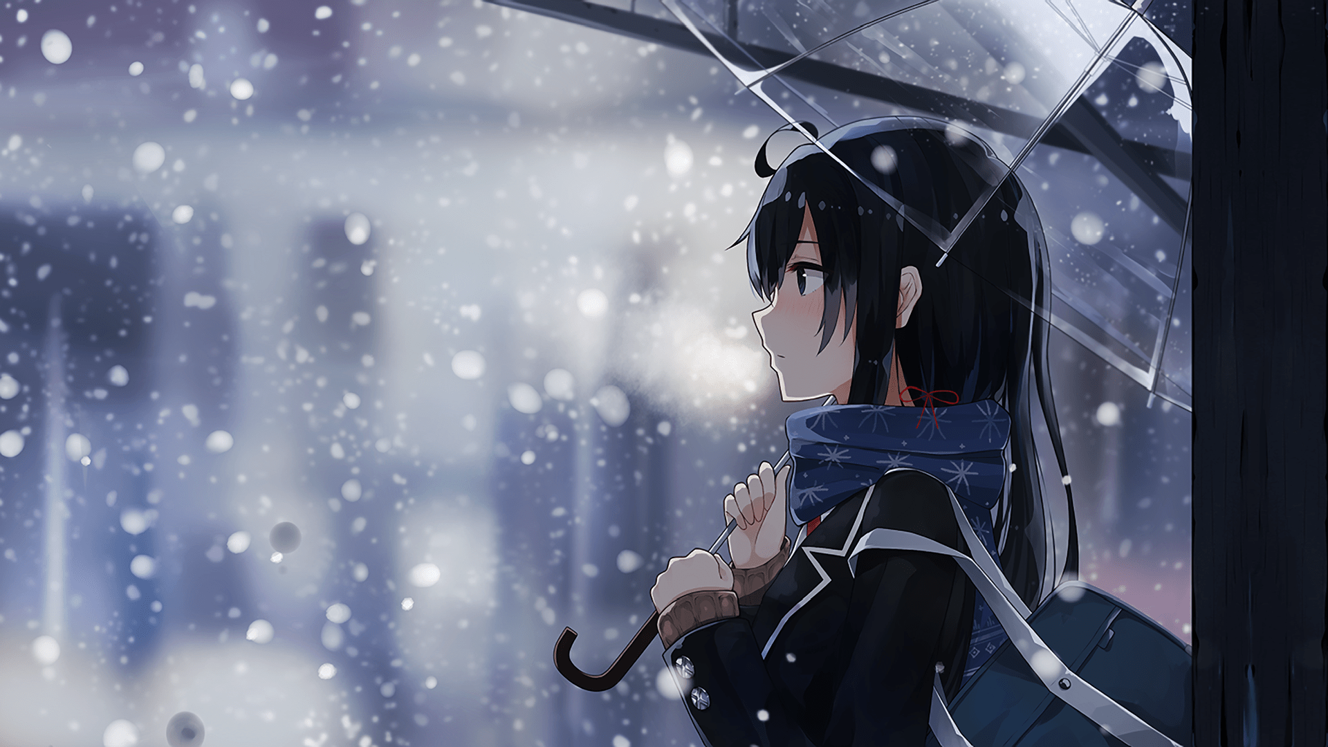 1920x1080 Yukino Yukinoshita Wallpaper. Yukino